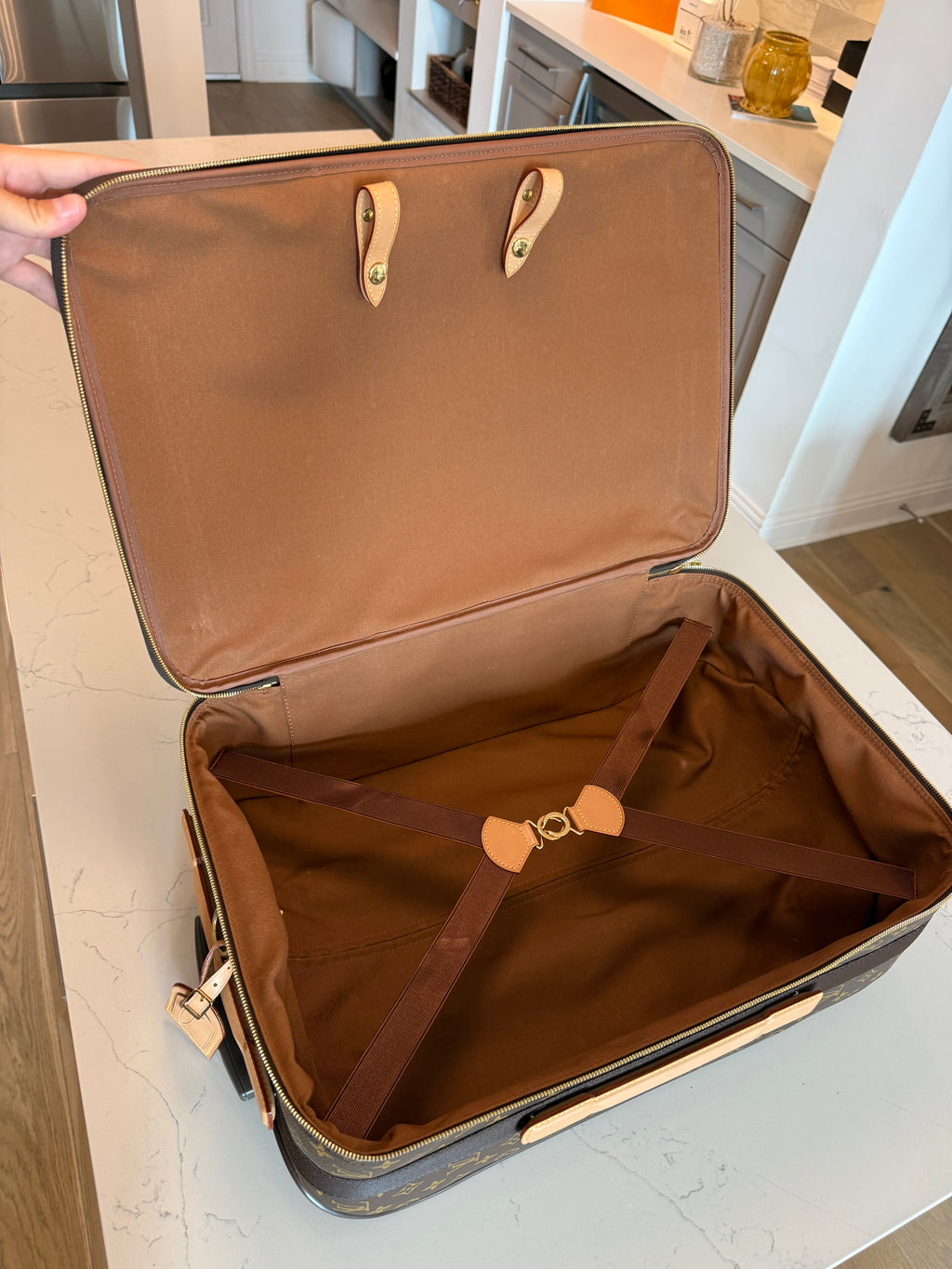 Louis Vuitton Pegase 55 Carry On