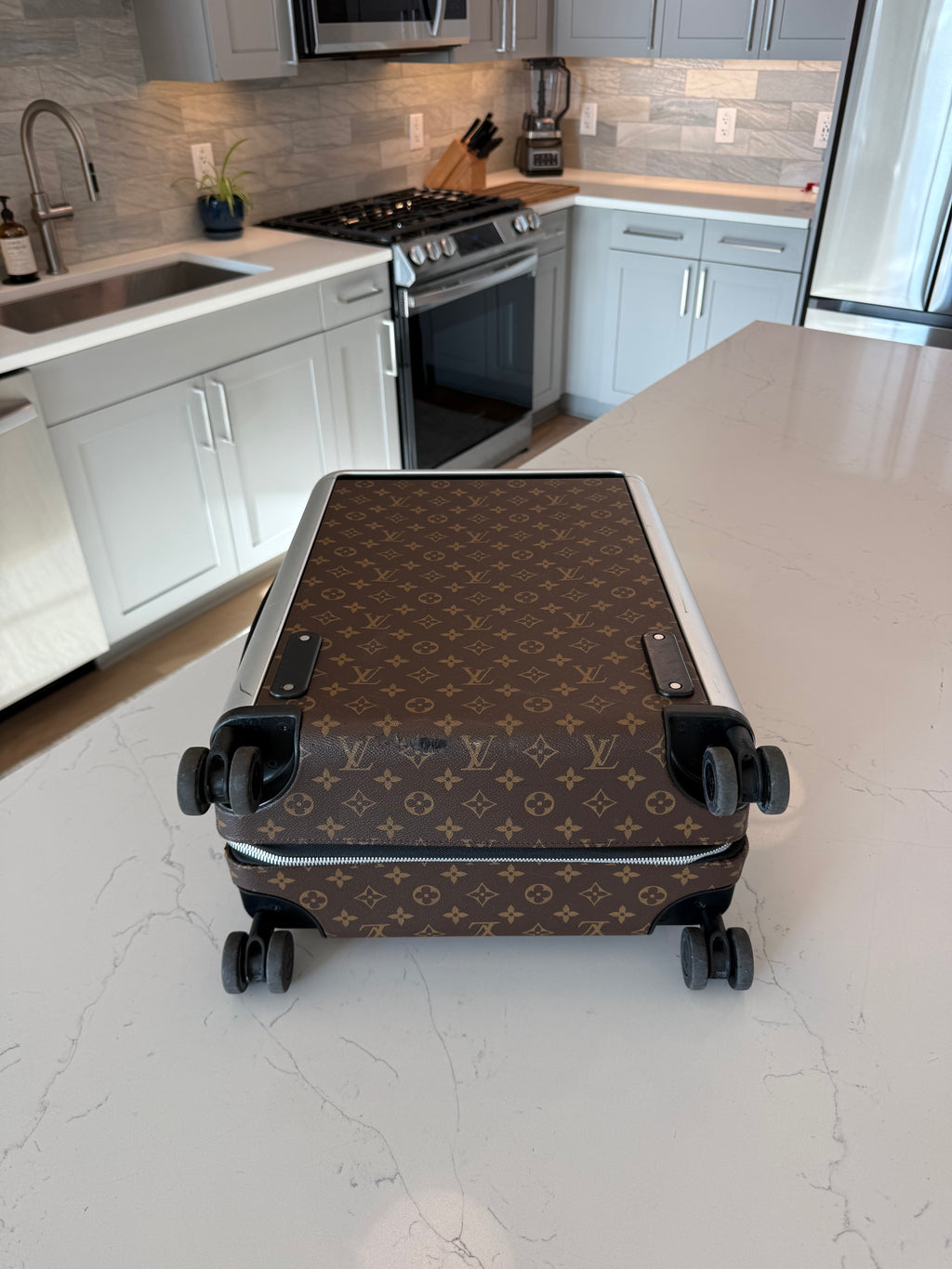 Louis Vuitton Horizon 55 Macassar