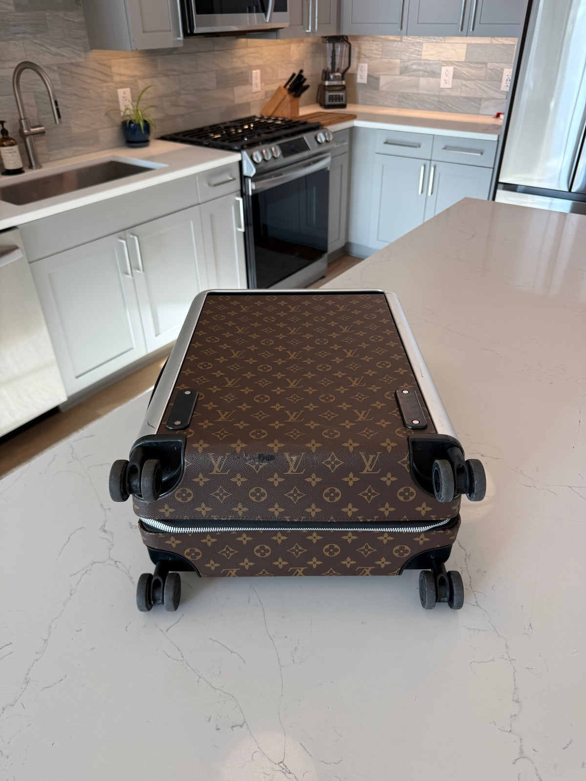 Louis Vuitton Horizon 55 Macassar