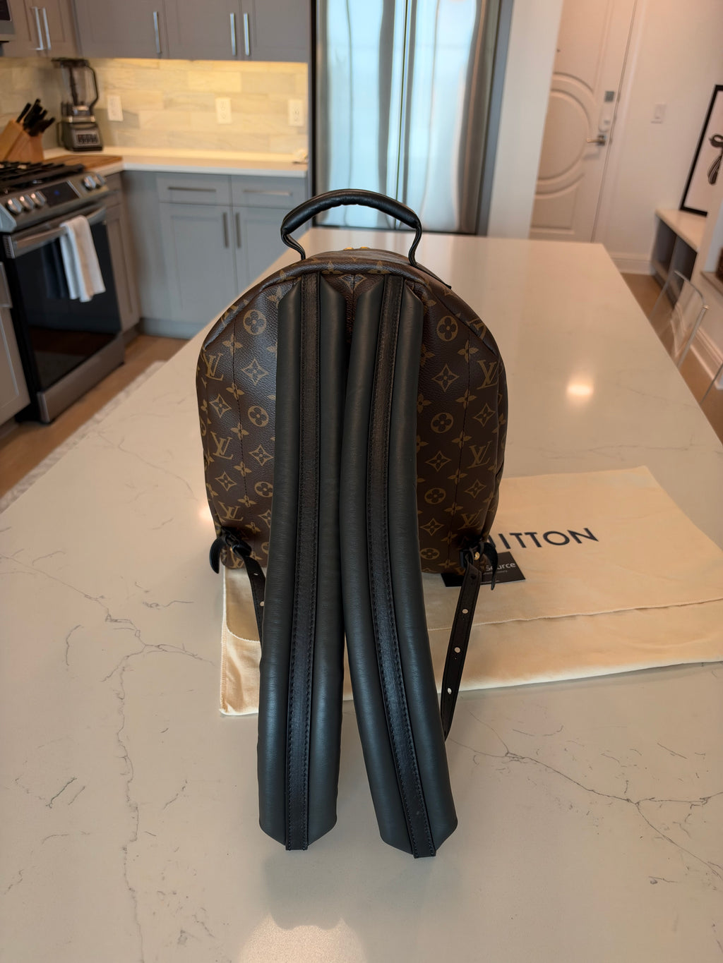 Louis Vuitton Palm Springs MM Backpack