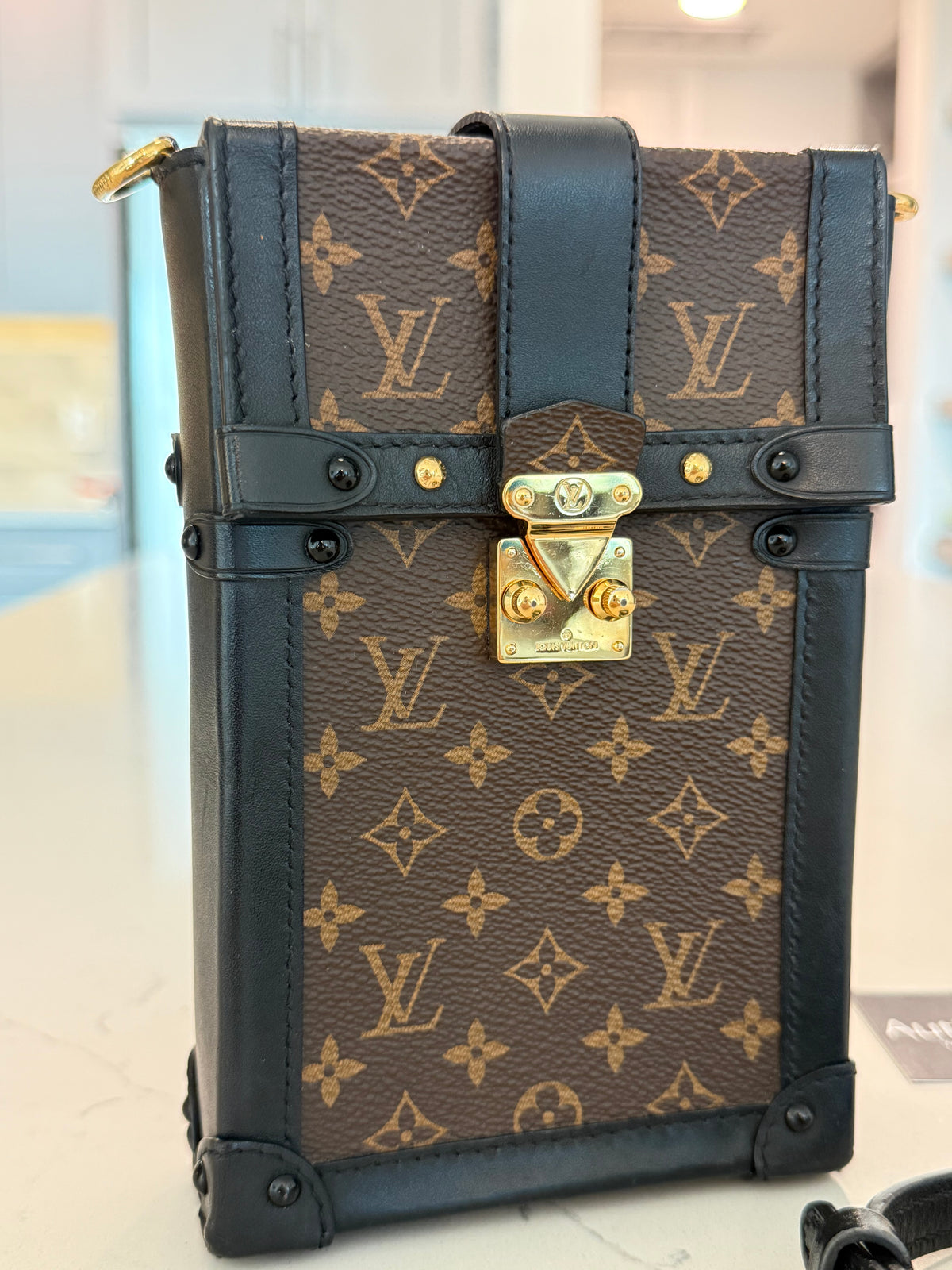 Louis Vuitton Monogram Trunk Pouchette Verticale