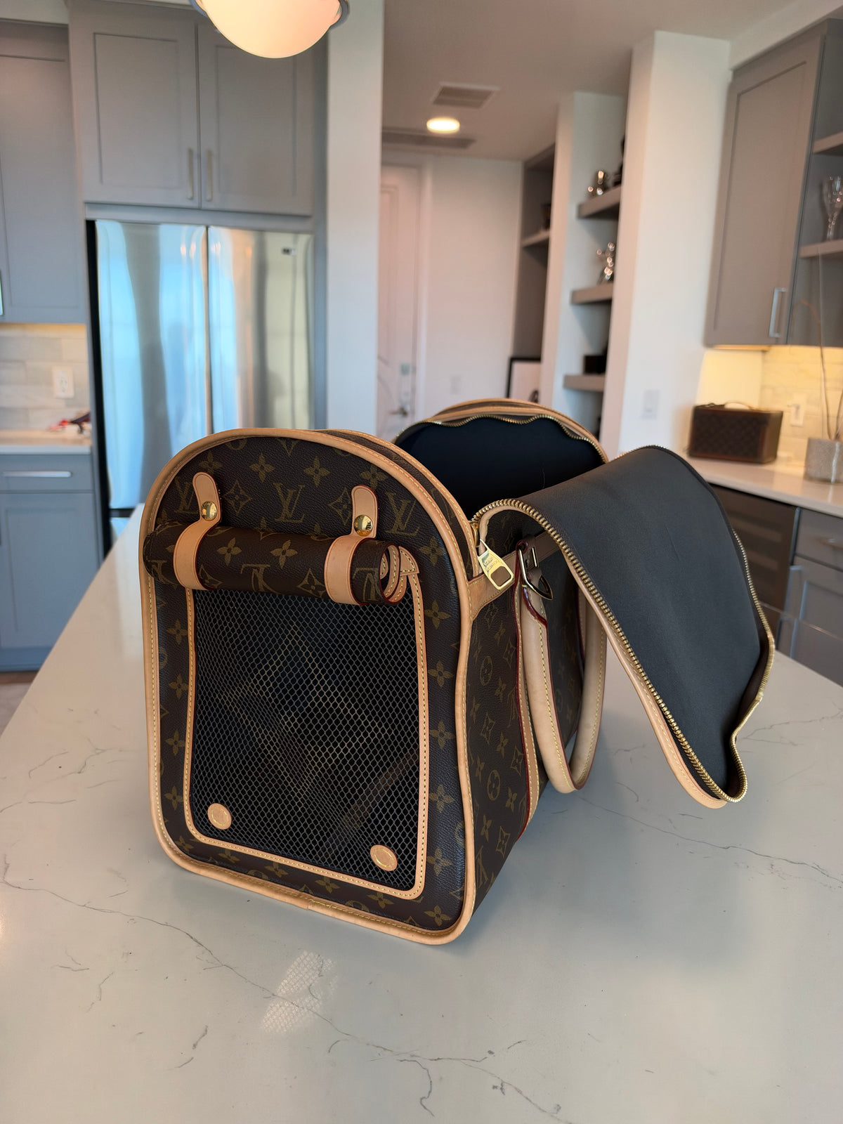Louis Vuitton Sac Chein Pet Carrier New Model