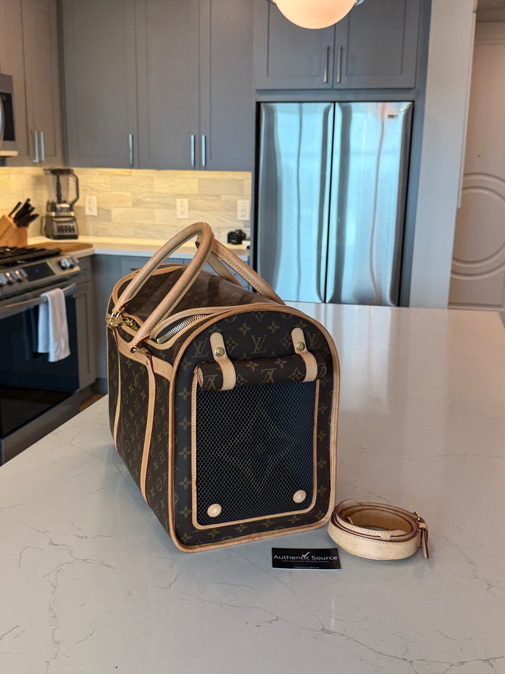 Louis Vuitton Pet Carrier