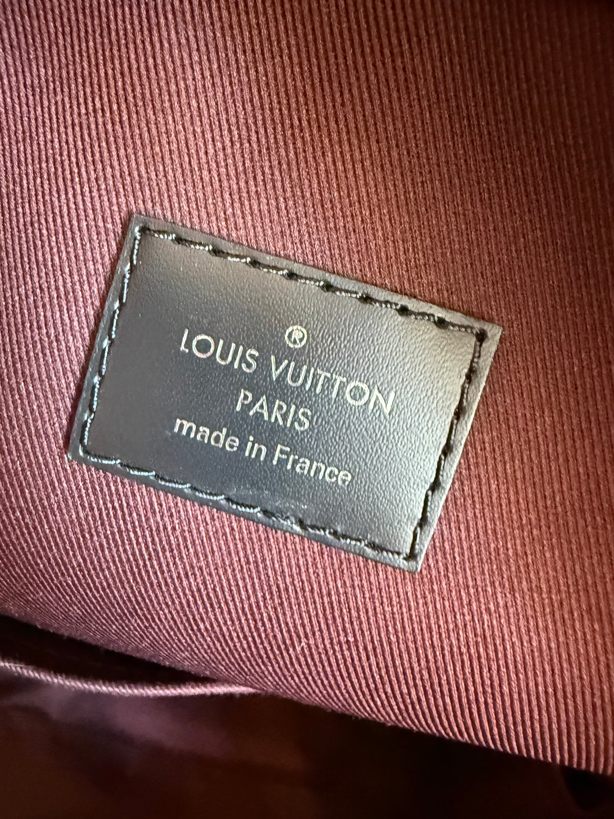 Louis Vuitton Josh Backpack Macassar
