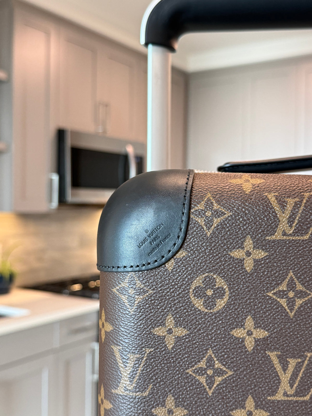 Louis Vuitton Horizon 55 Macassar