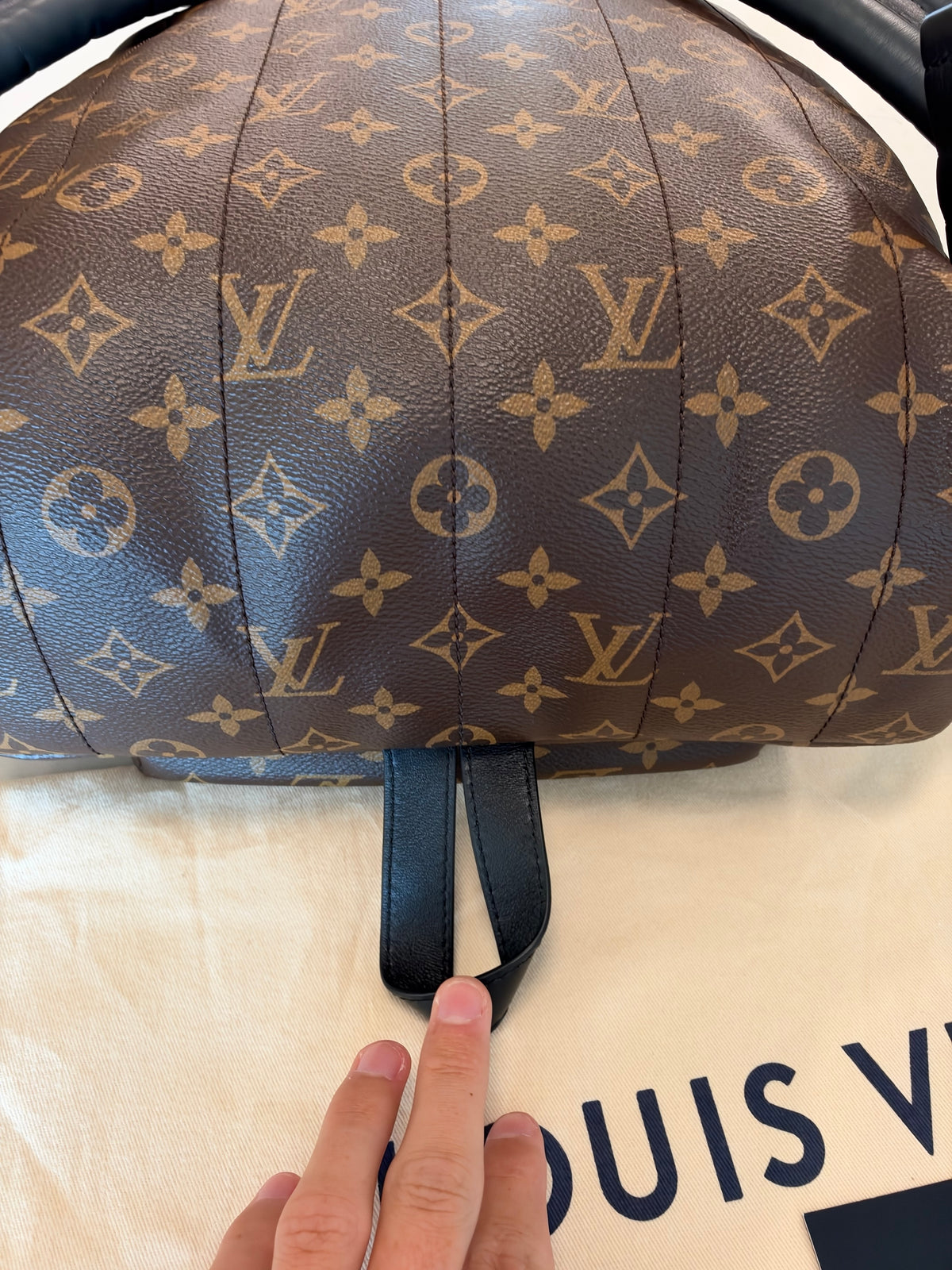 Louis Vuitton Palm Springs MM Backpack