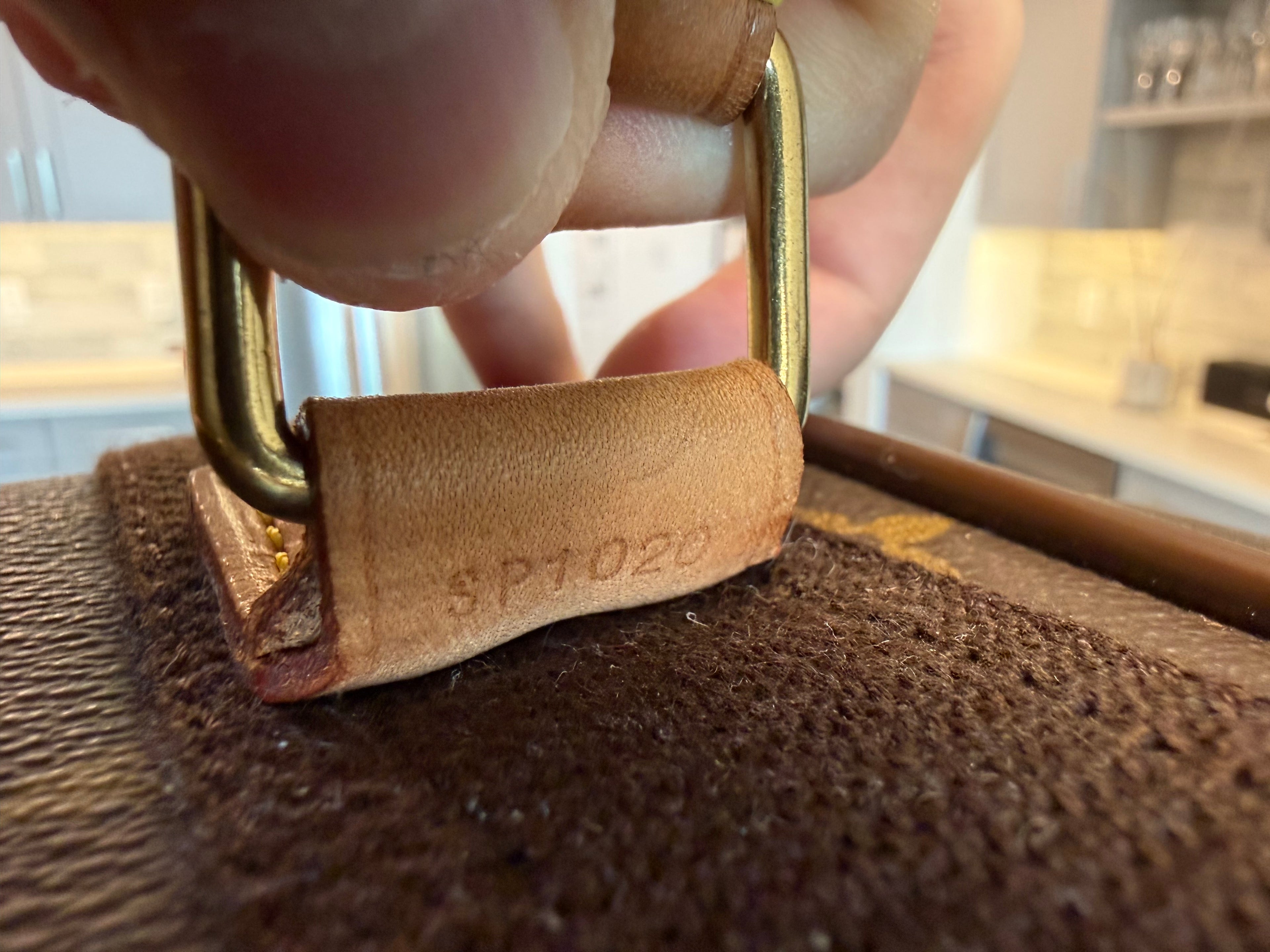 Louis Vuitton Pegase 55 Rolling Luggage