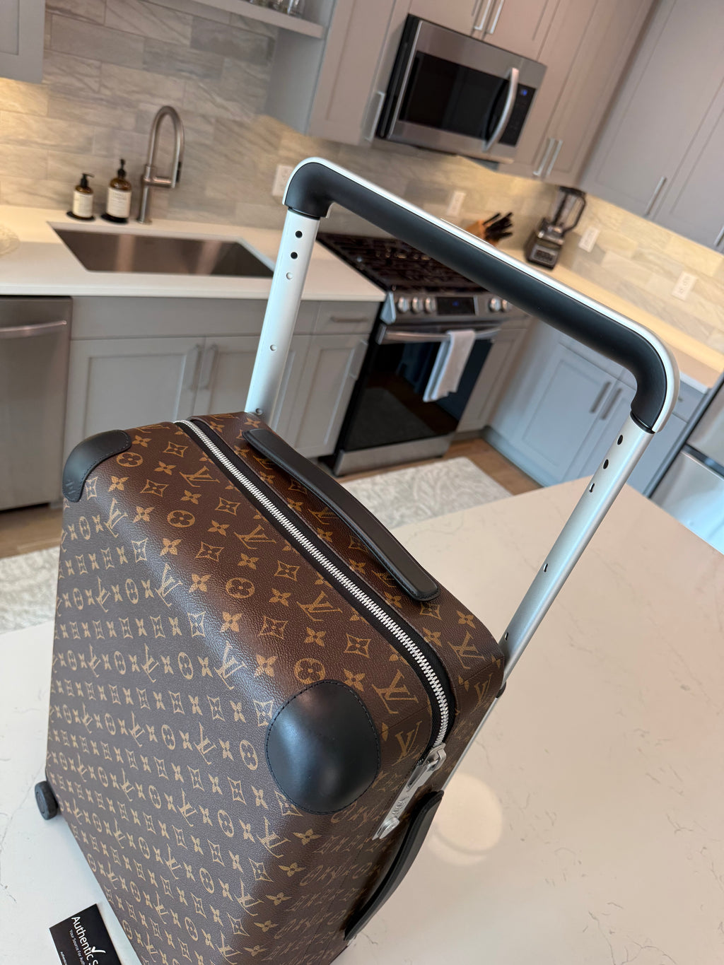 Louis Vuitton Horizon 55 Macassar