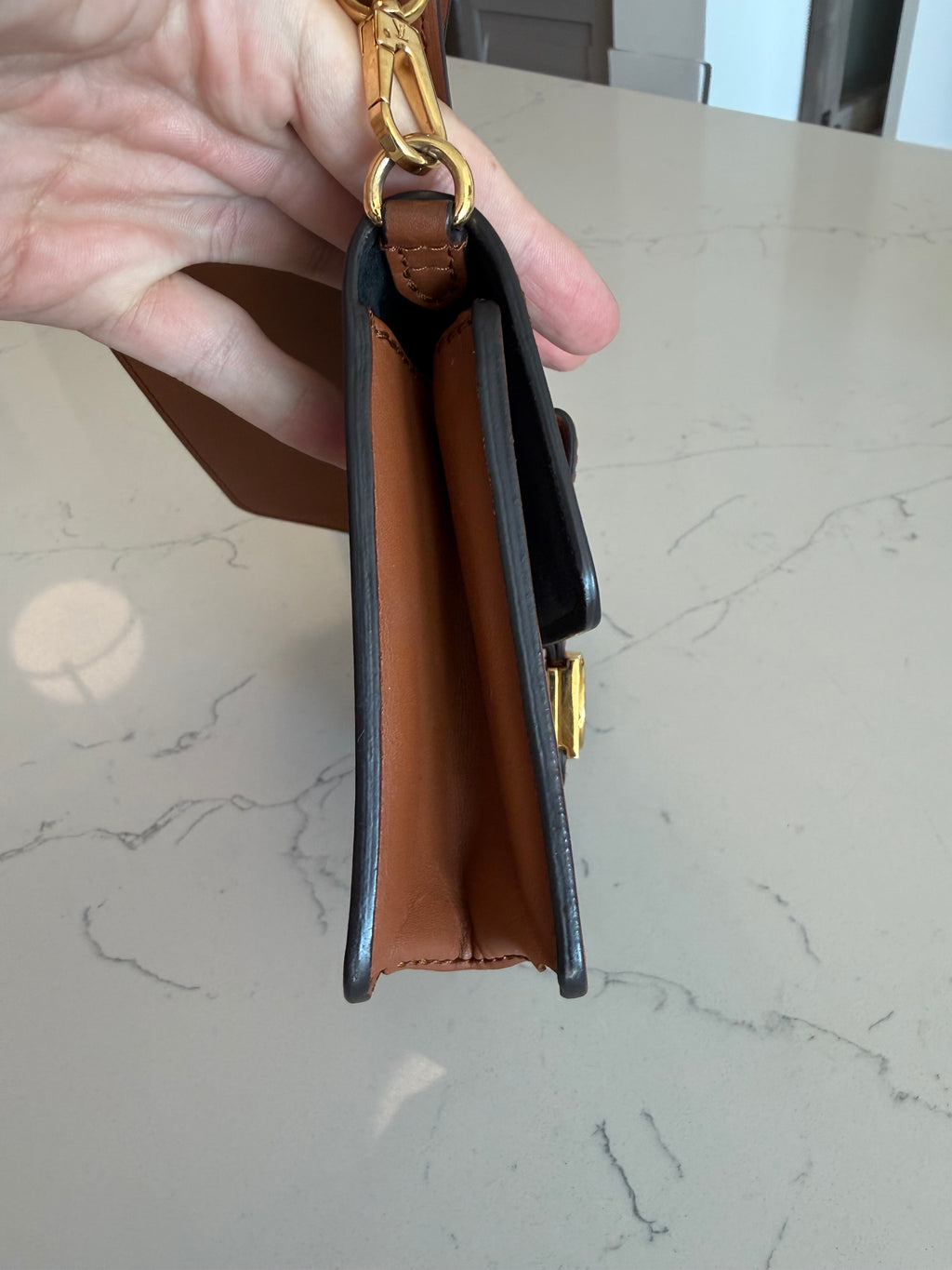 Louis Vuitton Dauphine Bumbag