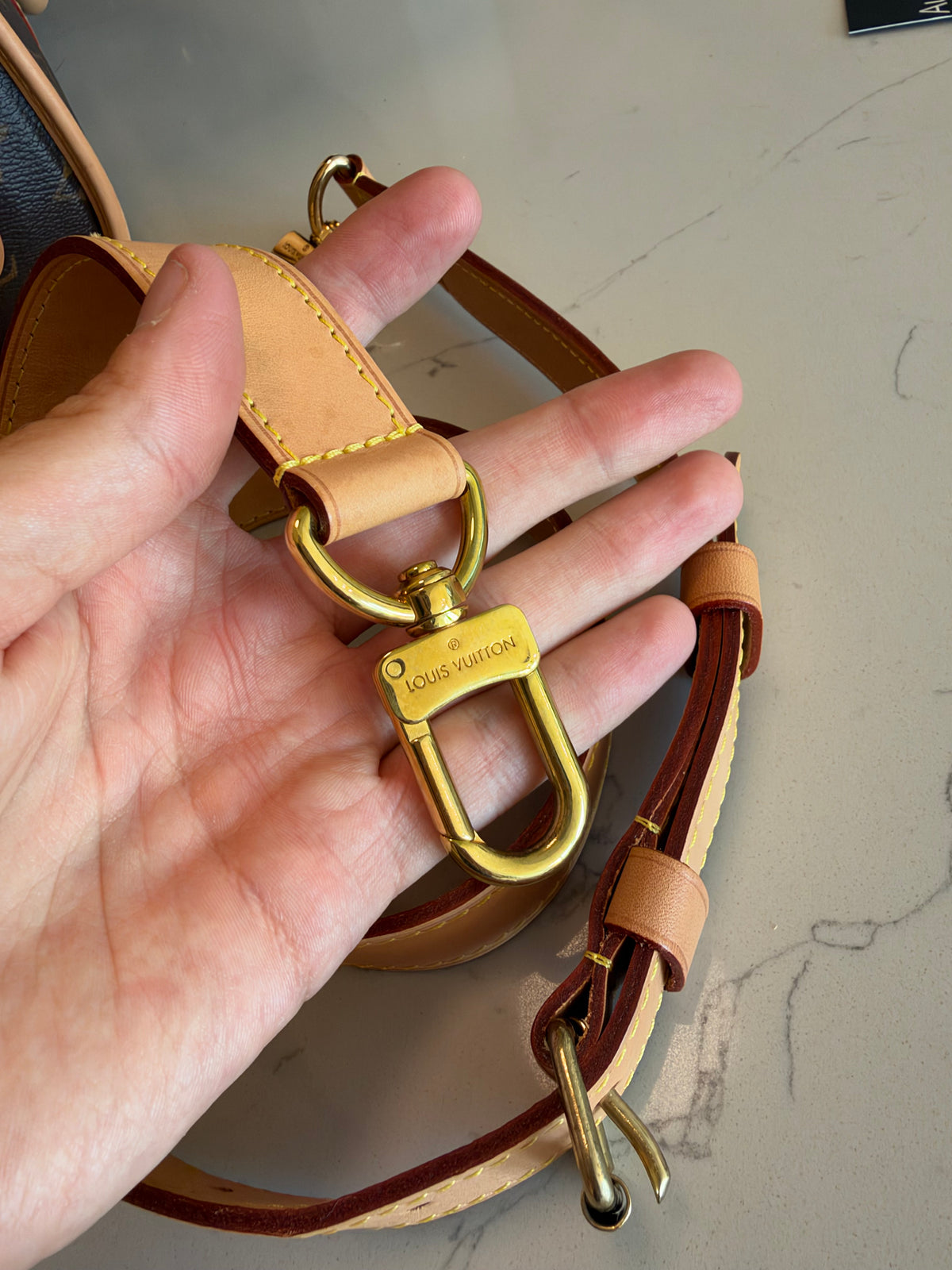 Louis Vuitton Sac Chein Pet Carrier New Model
