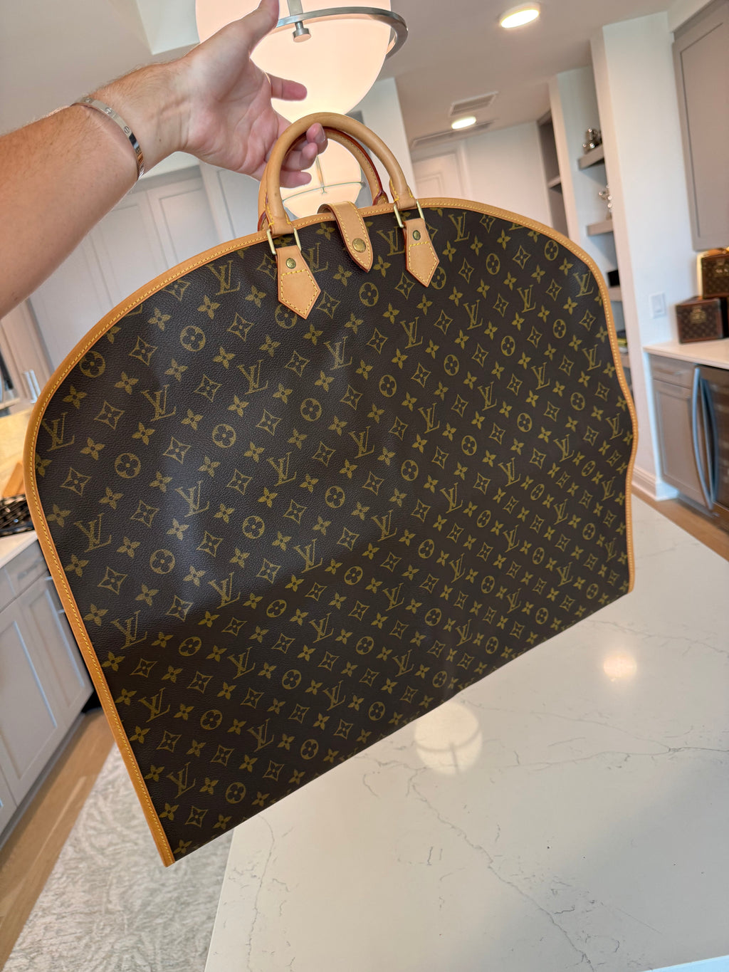 Louis Vuitton Monogram Garment Bag
