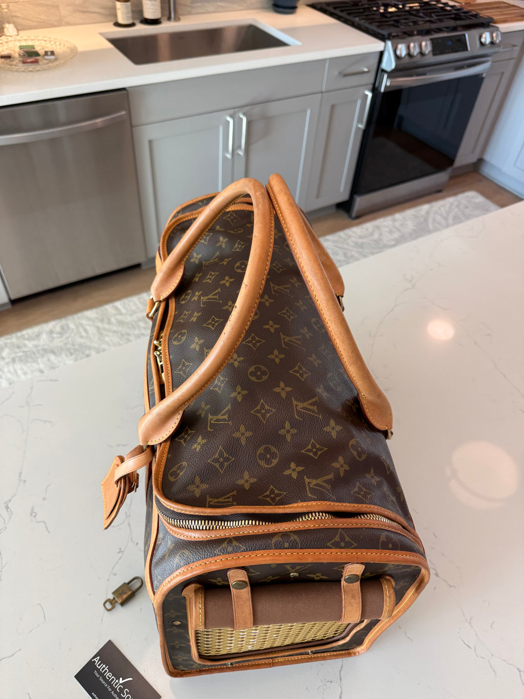 Louis Vuitton Pet Carrier Sac Chein 50