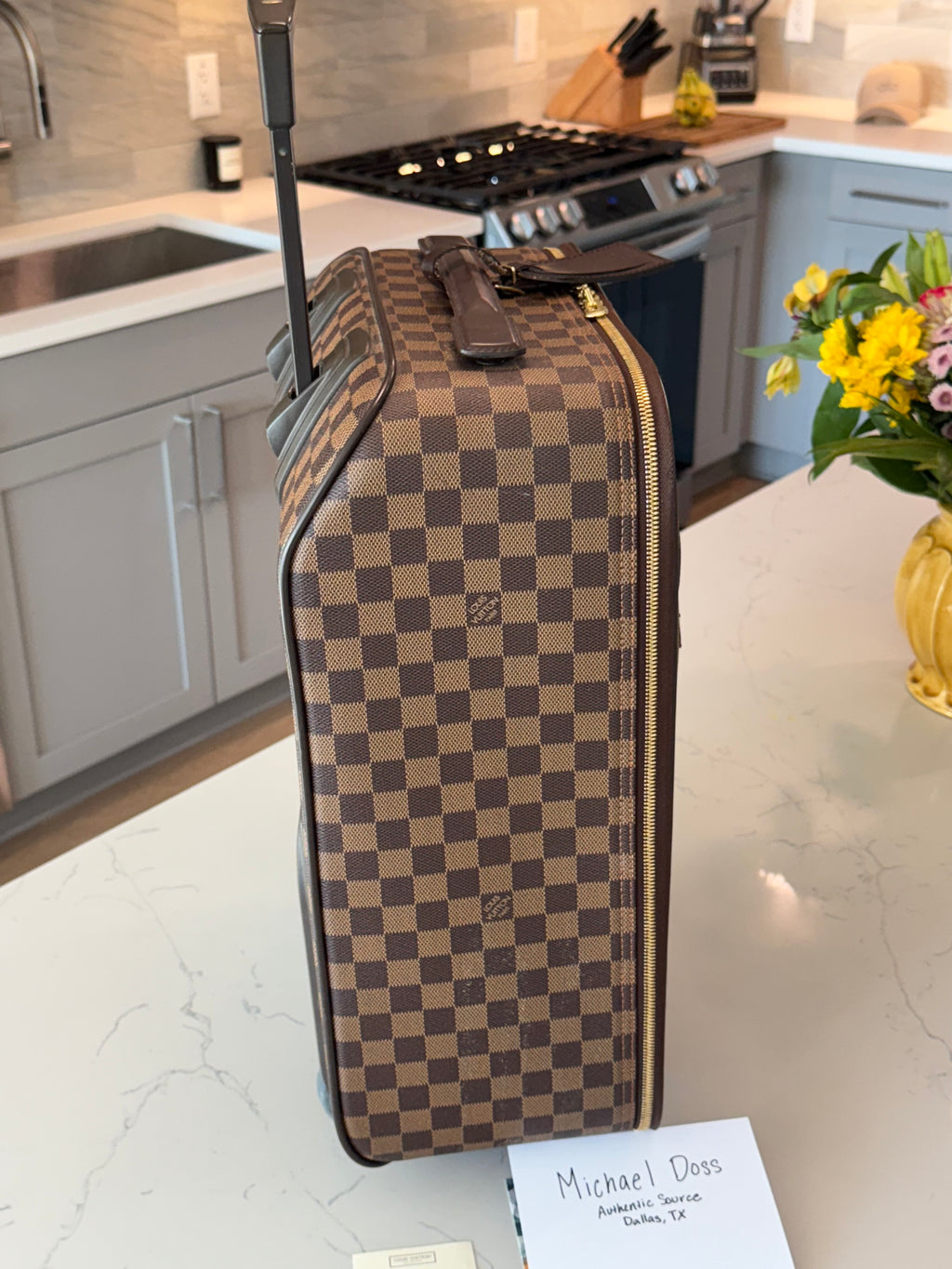 Louis Vuitton Pegase 45 - Damier Ebene