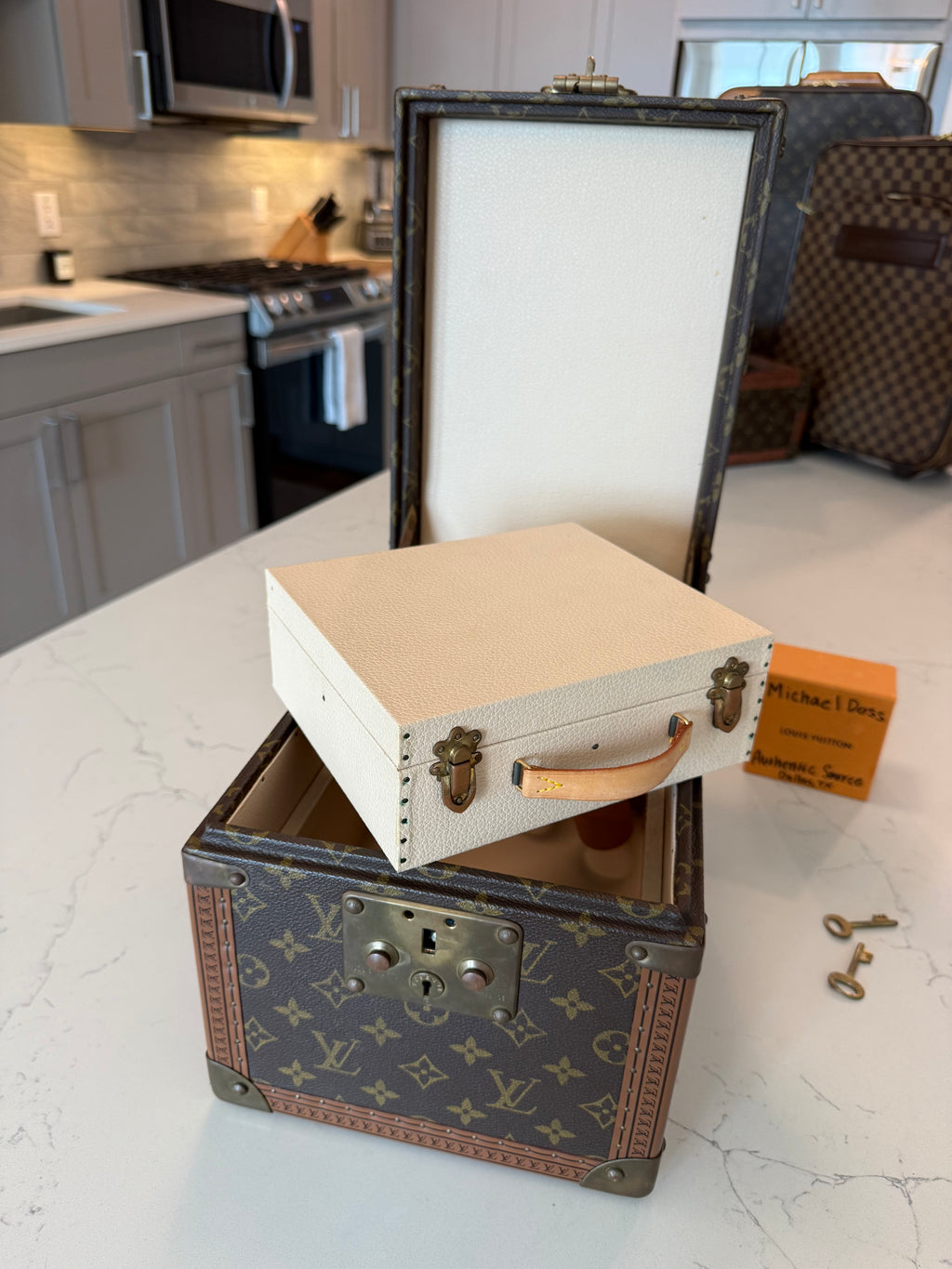 Louis Vuitton Boite Falcons Vanity Trunk