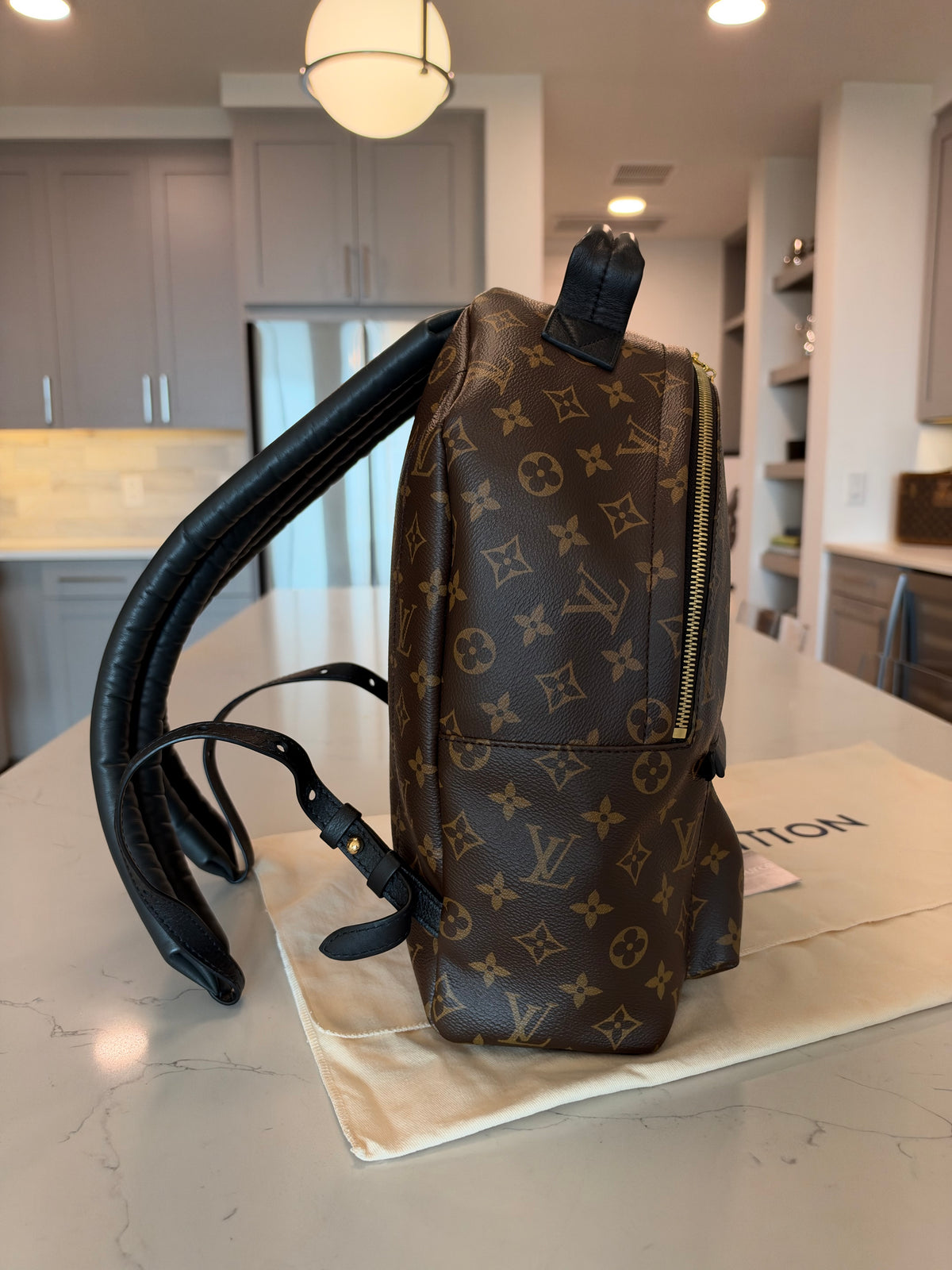 Louis Vuitton Palm Springs MM Backpack