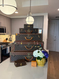 Louis Vuitton Rare Trunks - Bundle of 6