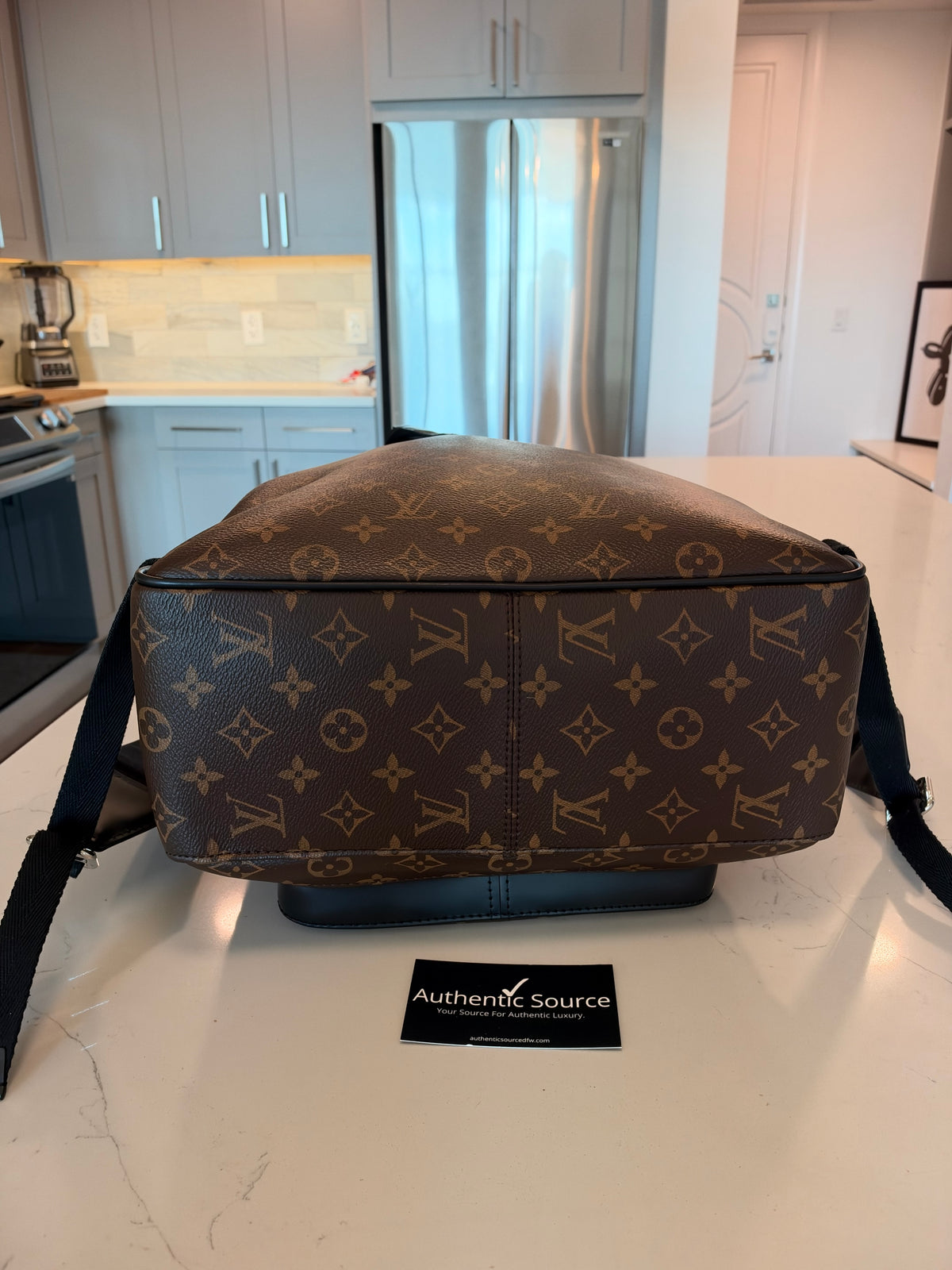 Louis Vuitton Josh Backpack Macassar