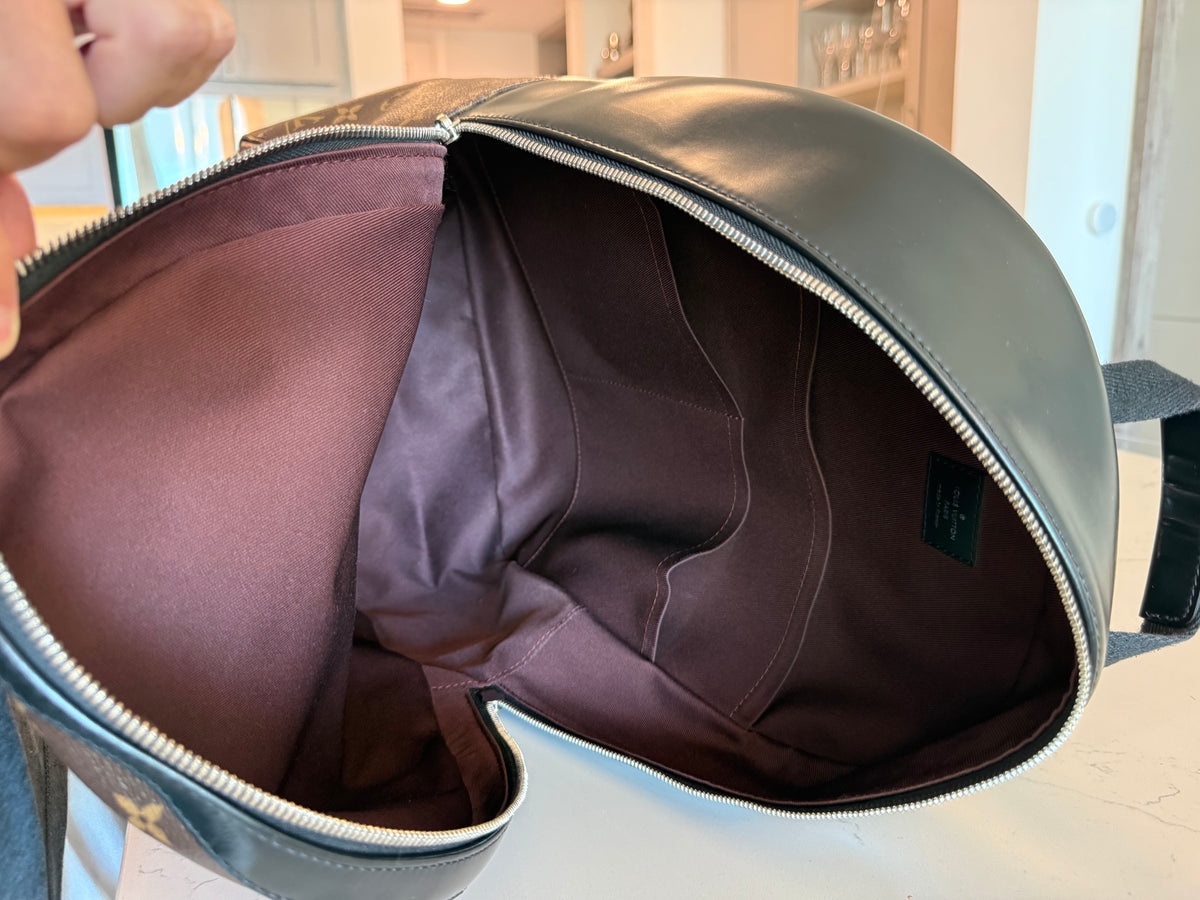 Louis Vuitton Josh Backpack Macassar