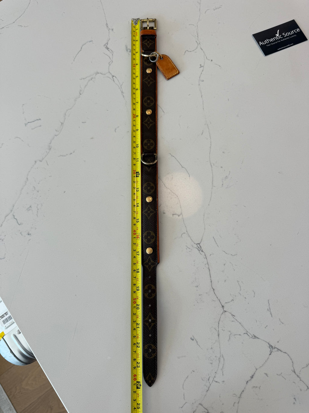Louis Vuitton Baxter GM Pet Collar