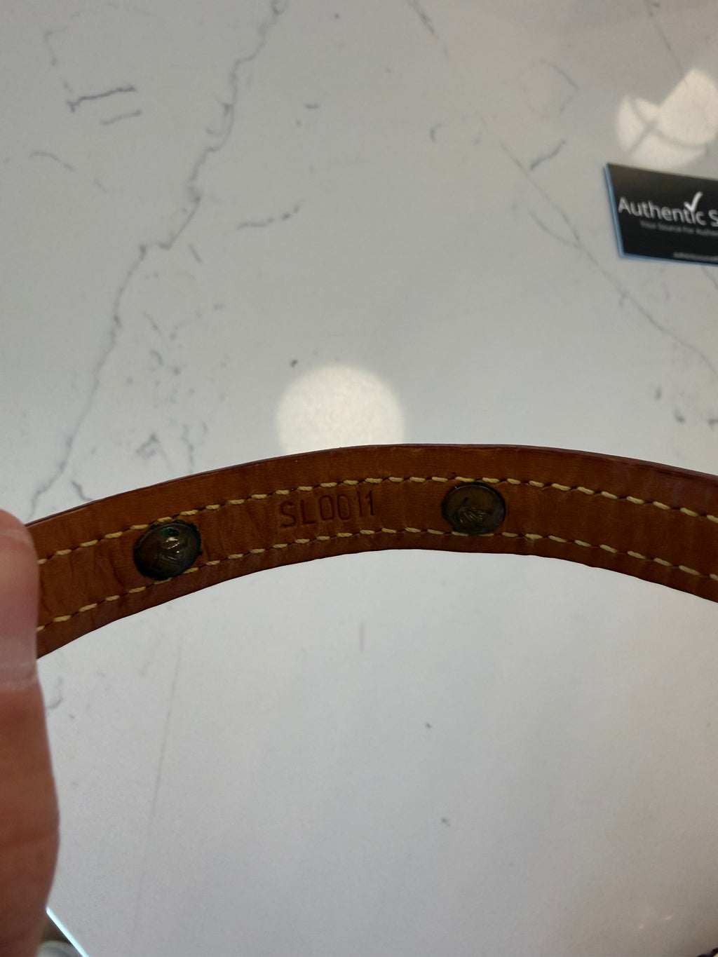 Louis Vuitton Baxter Pet Collar PM