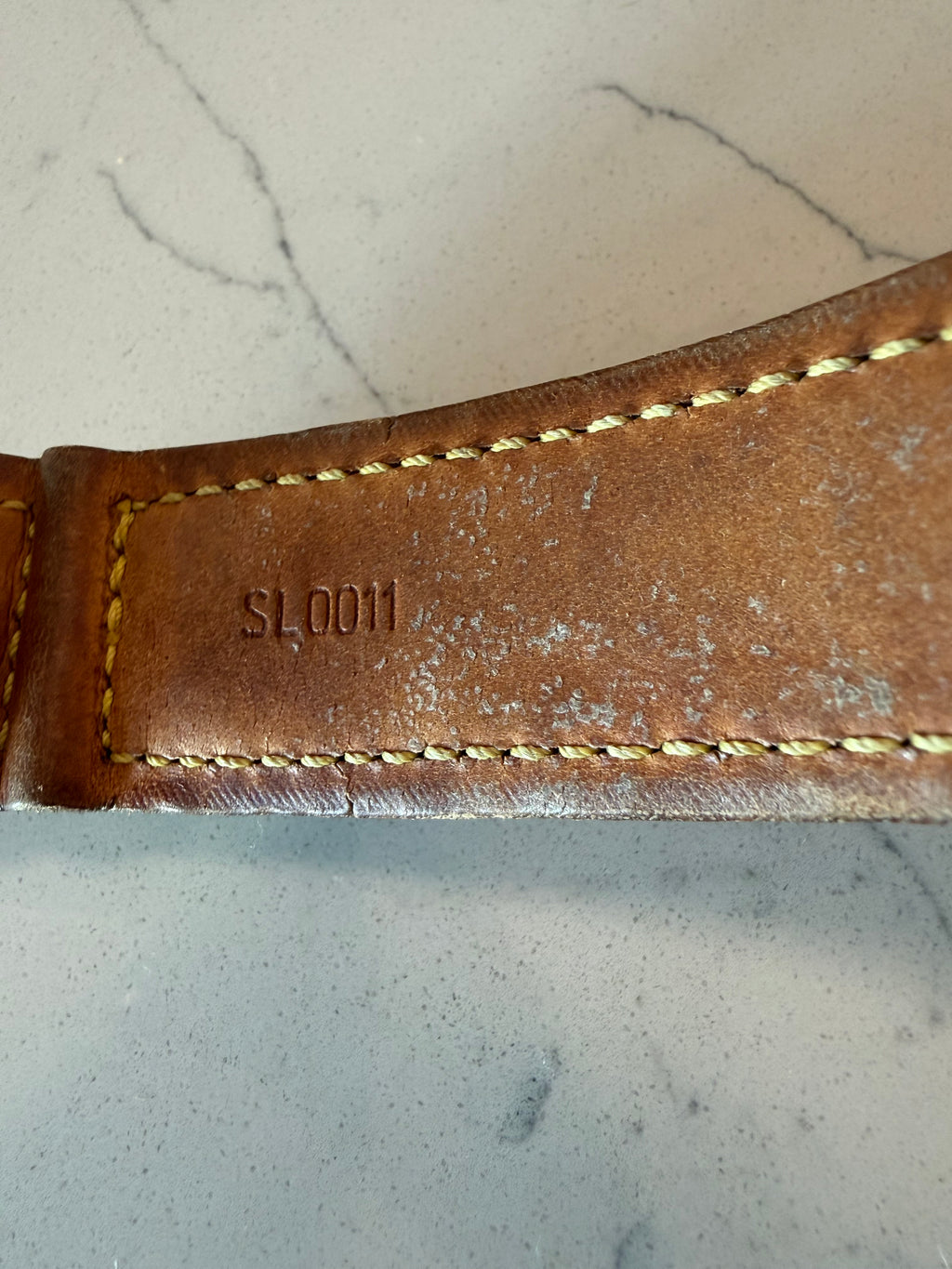 Louis Vuitton Baxter GM Pet Collar