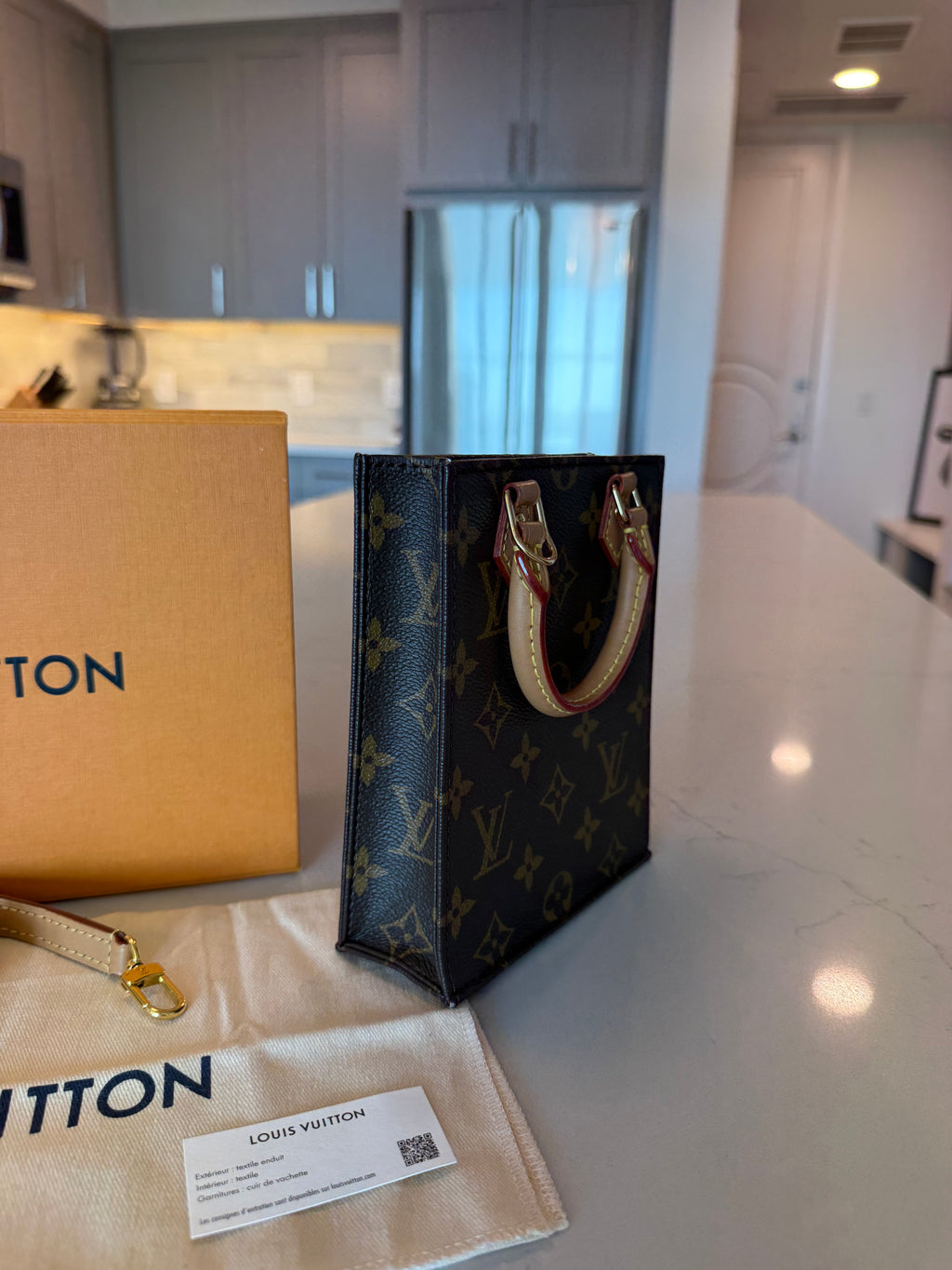 Louis Vuitton Sac Platt Petit