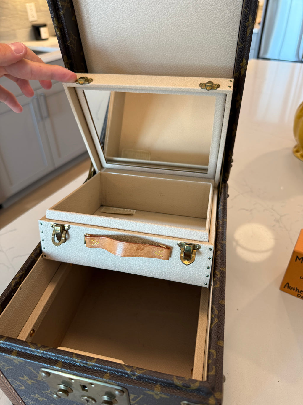 Louis Vuitton Boite Falcons Vanity Trunk