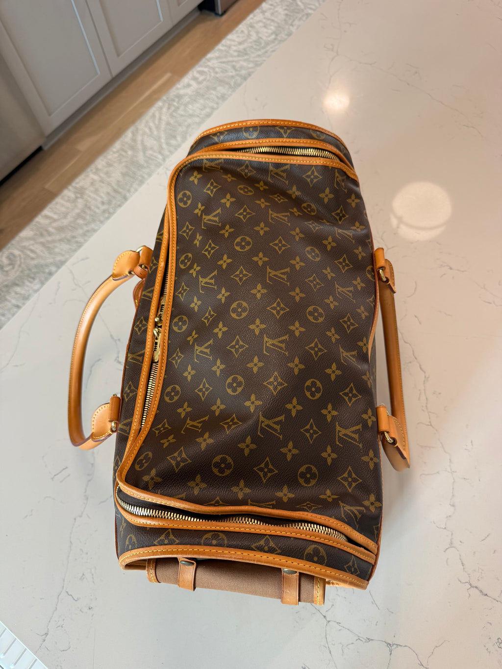 Louis Vuitton Pet Carrier Sac Chein 50