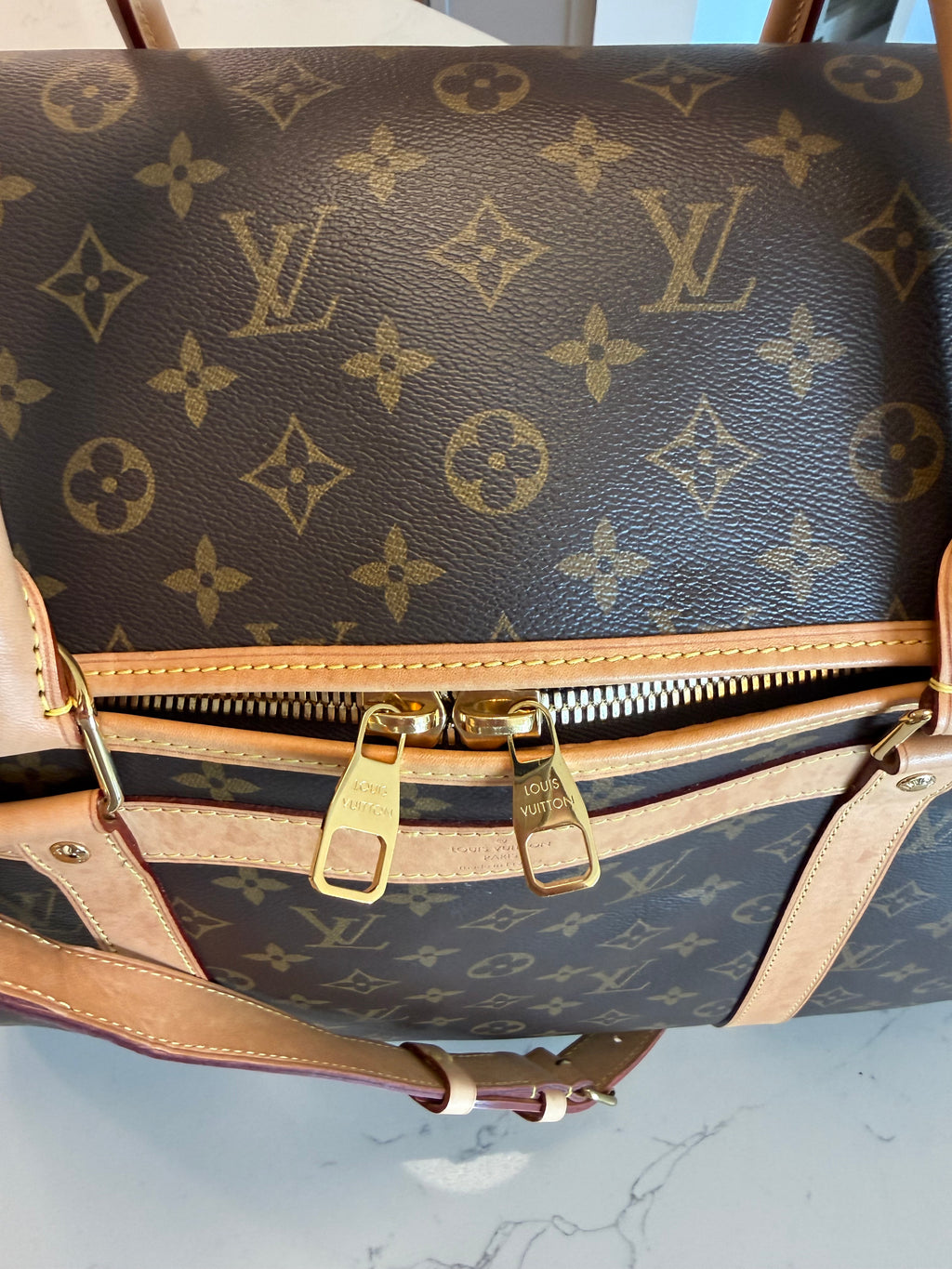 Louis Vuitton Pet Carrier