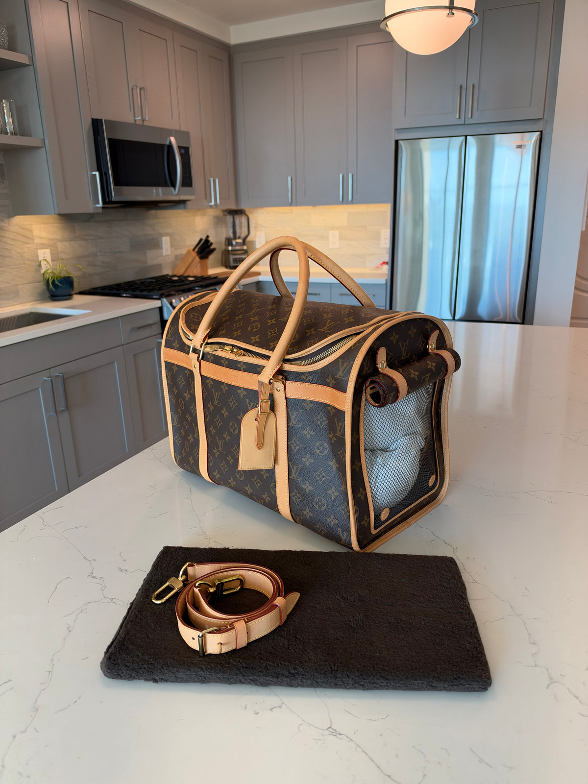 Louis Vuitton Sac Chein Pet Carrier New Model