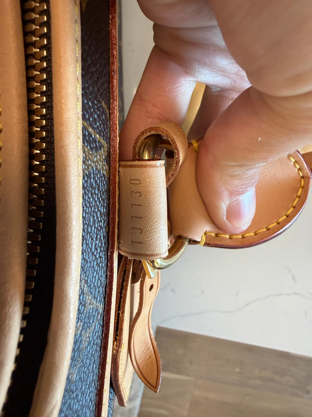 Louis Vuitton Sac Chein Pet Carrier