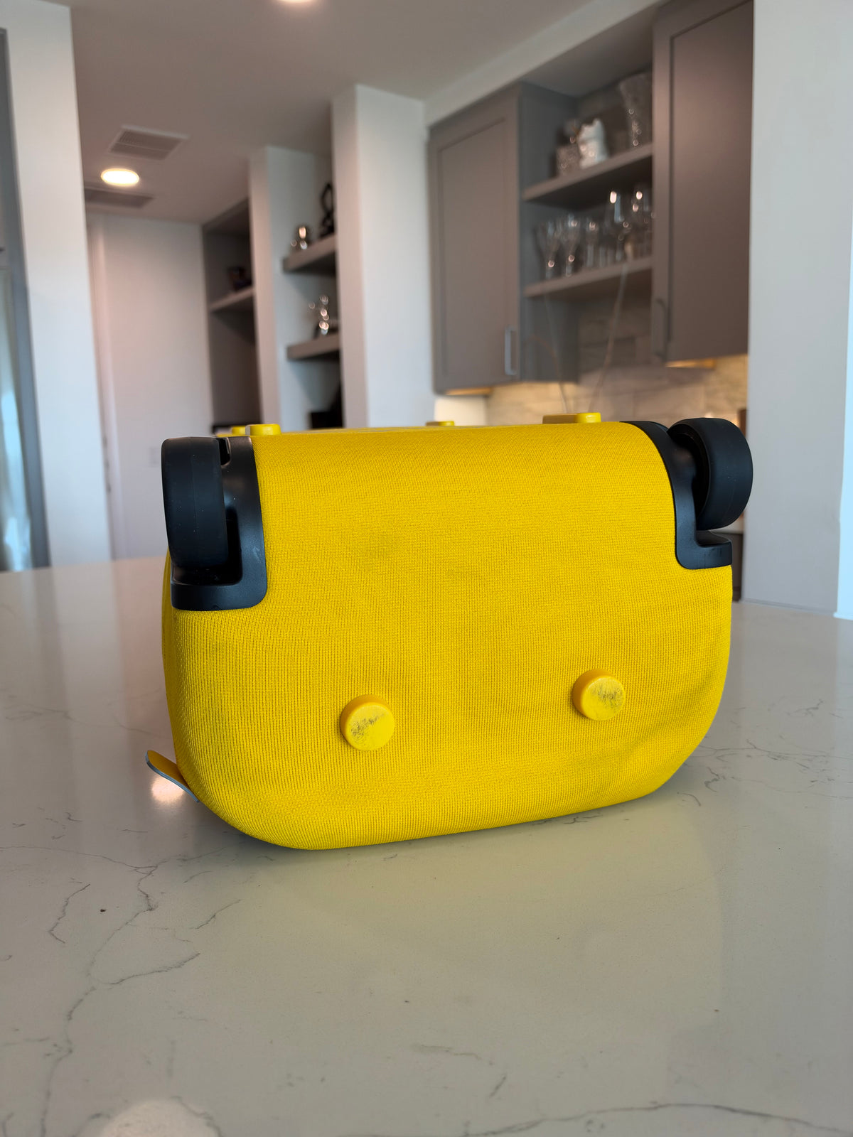 Louis Vuitton Soft Horizon Rolling Luggage
