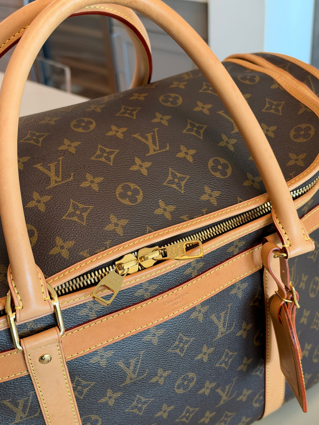 Louis Vuitton Sac Chein Pet Carrier New Model