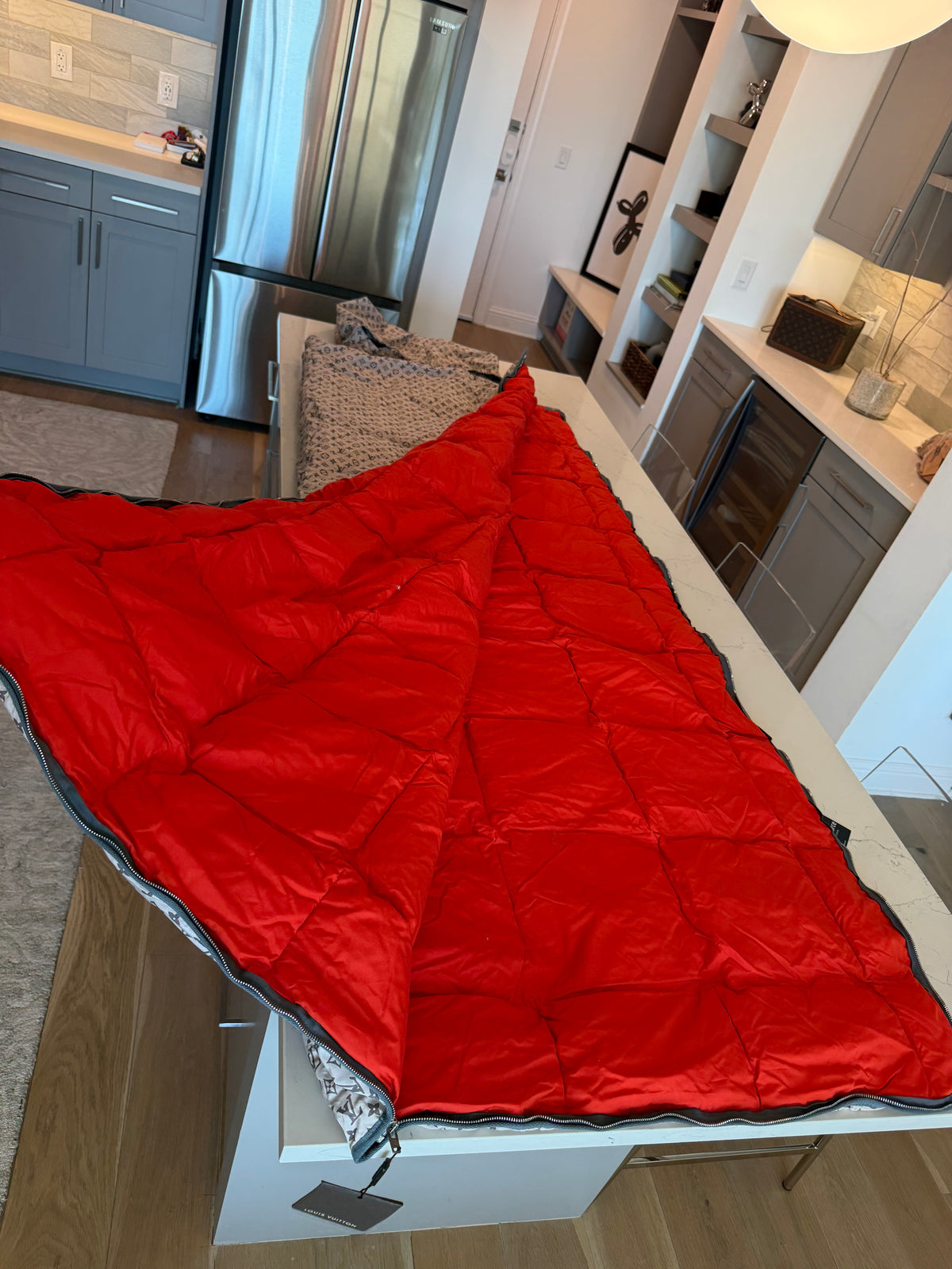Louis Vuitton Sleeping Bag - Ultra Rare