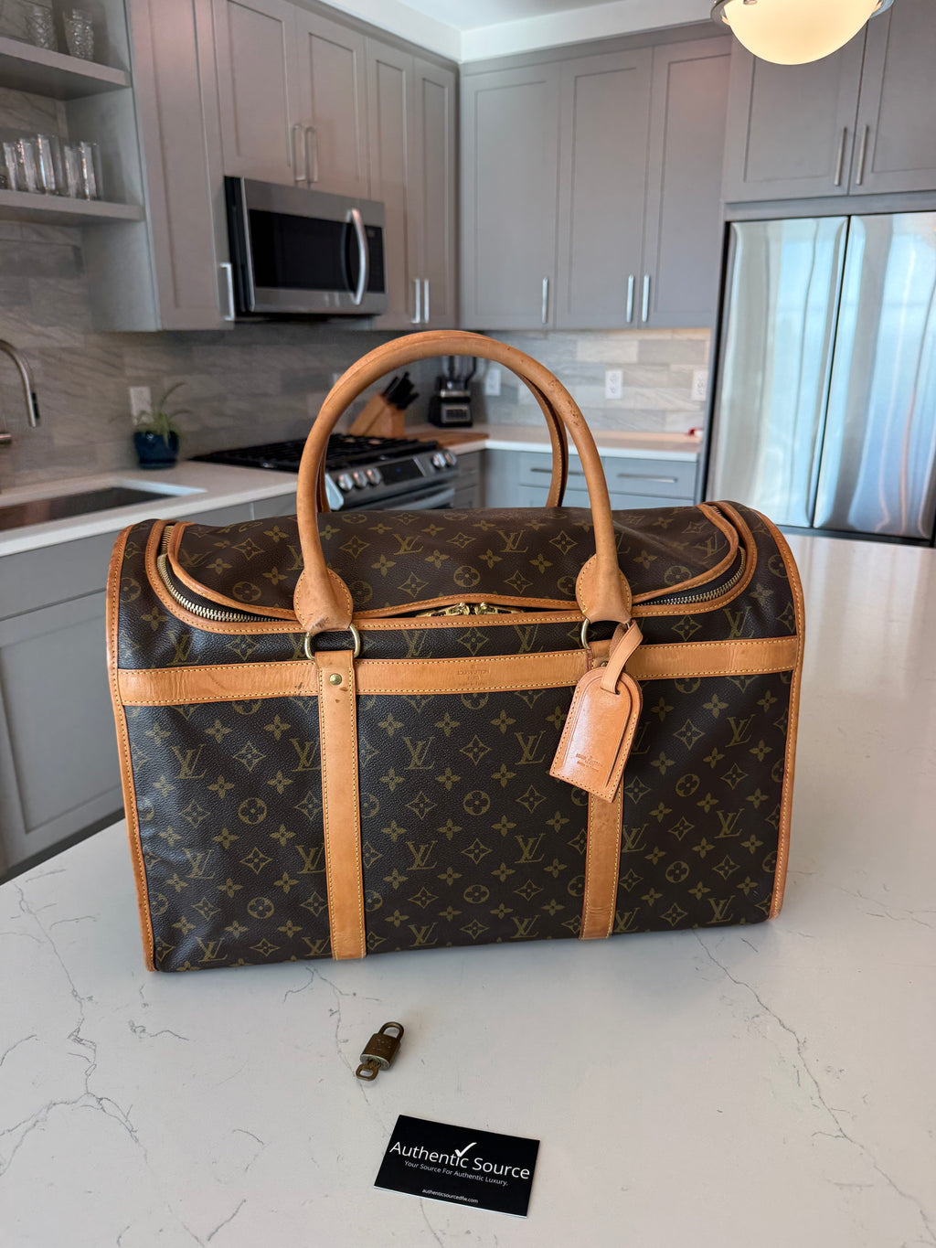 Louis Vuitton Pet Carrier Sac Chein 50