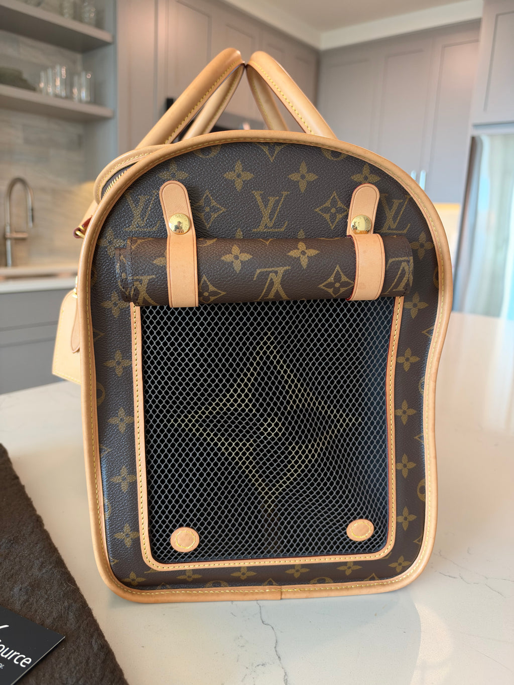Louis Vuitton Sac Chein Pet Carrier New Model