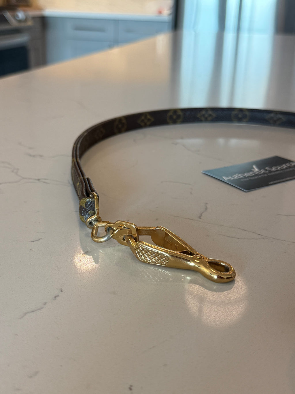 Louis Vuitton Dog Leash
