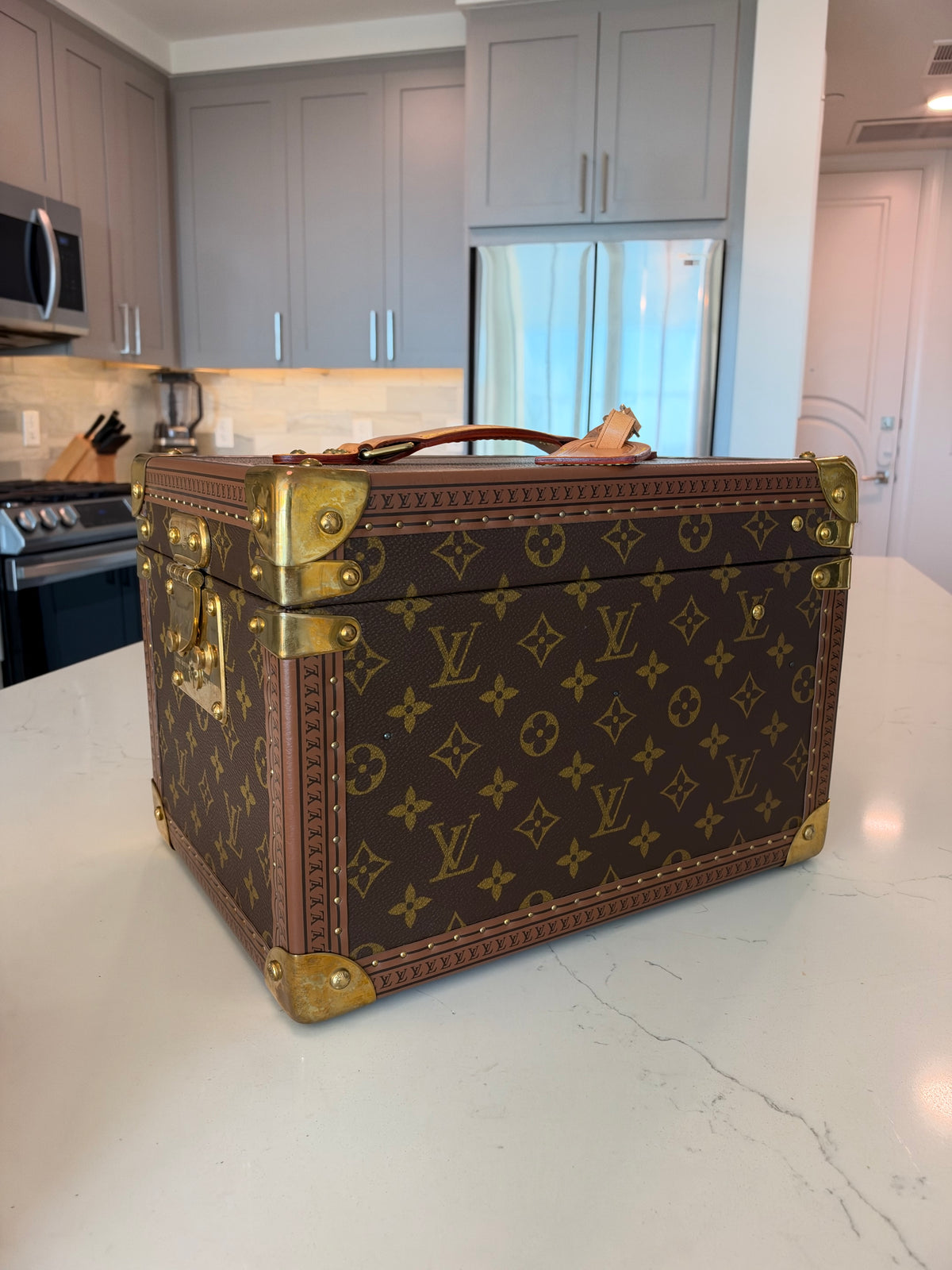 Louis Vuitton Boite Falcons Vanity Trunk