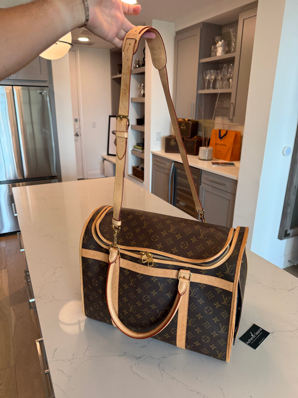 Louis Vuitton Pet Carrier