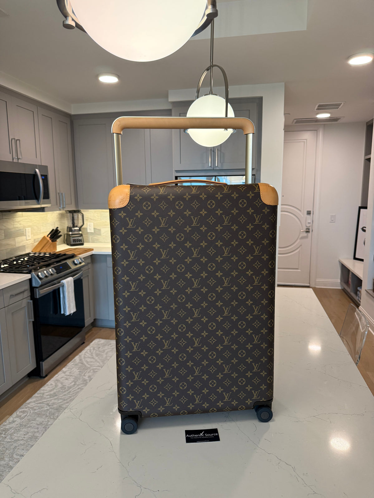 Louis Vuitton Horizon 70 Monogram