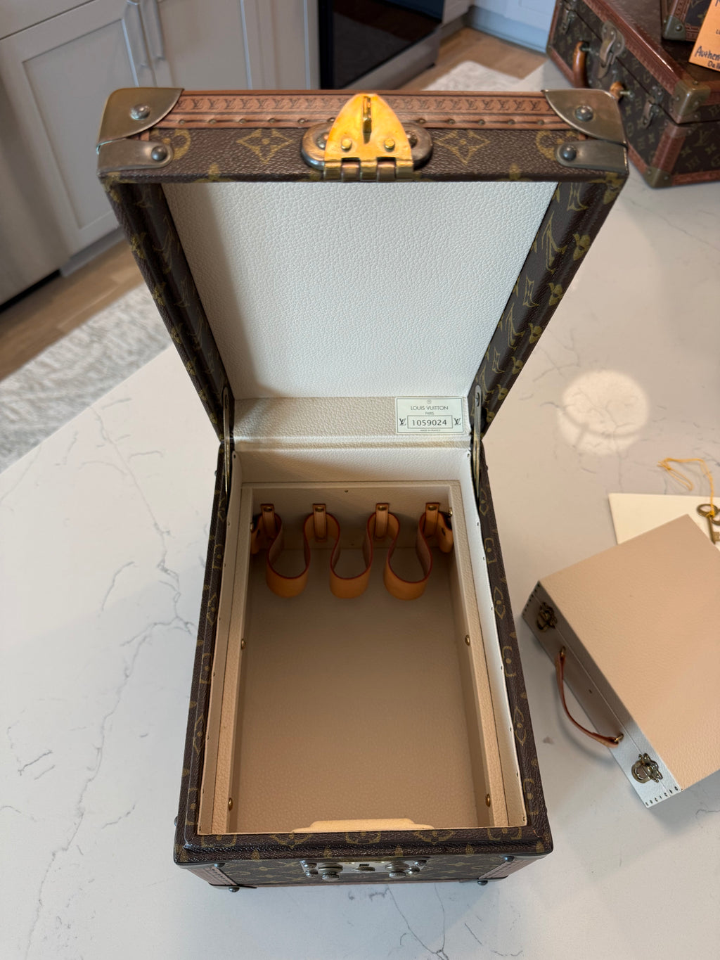 Louis Vuitton Boite Falcons Vanity Trunk