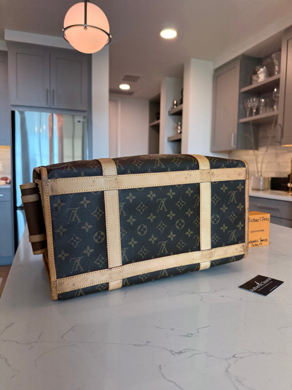 Louis Vuitton Pet Carrier