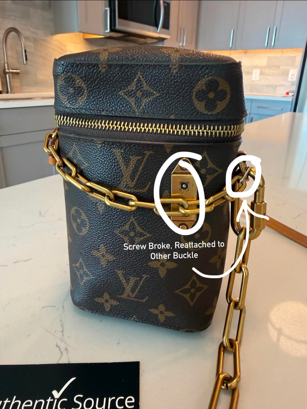 Louis Vuitton Monogram Phone Box Bag