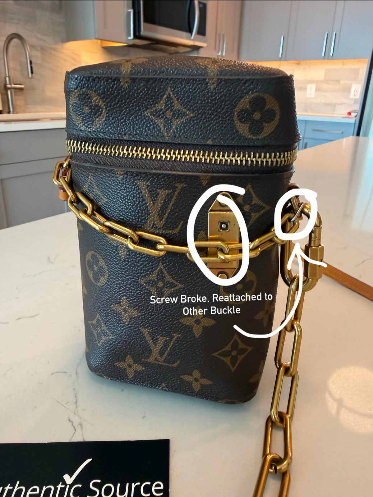 Louis Vuitton Monogram Phone Box Bag