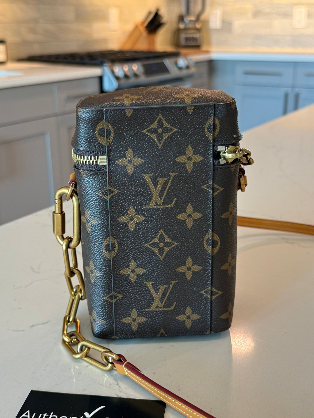 Louis Vuitton Monogram Phone Box Bag