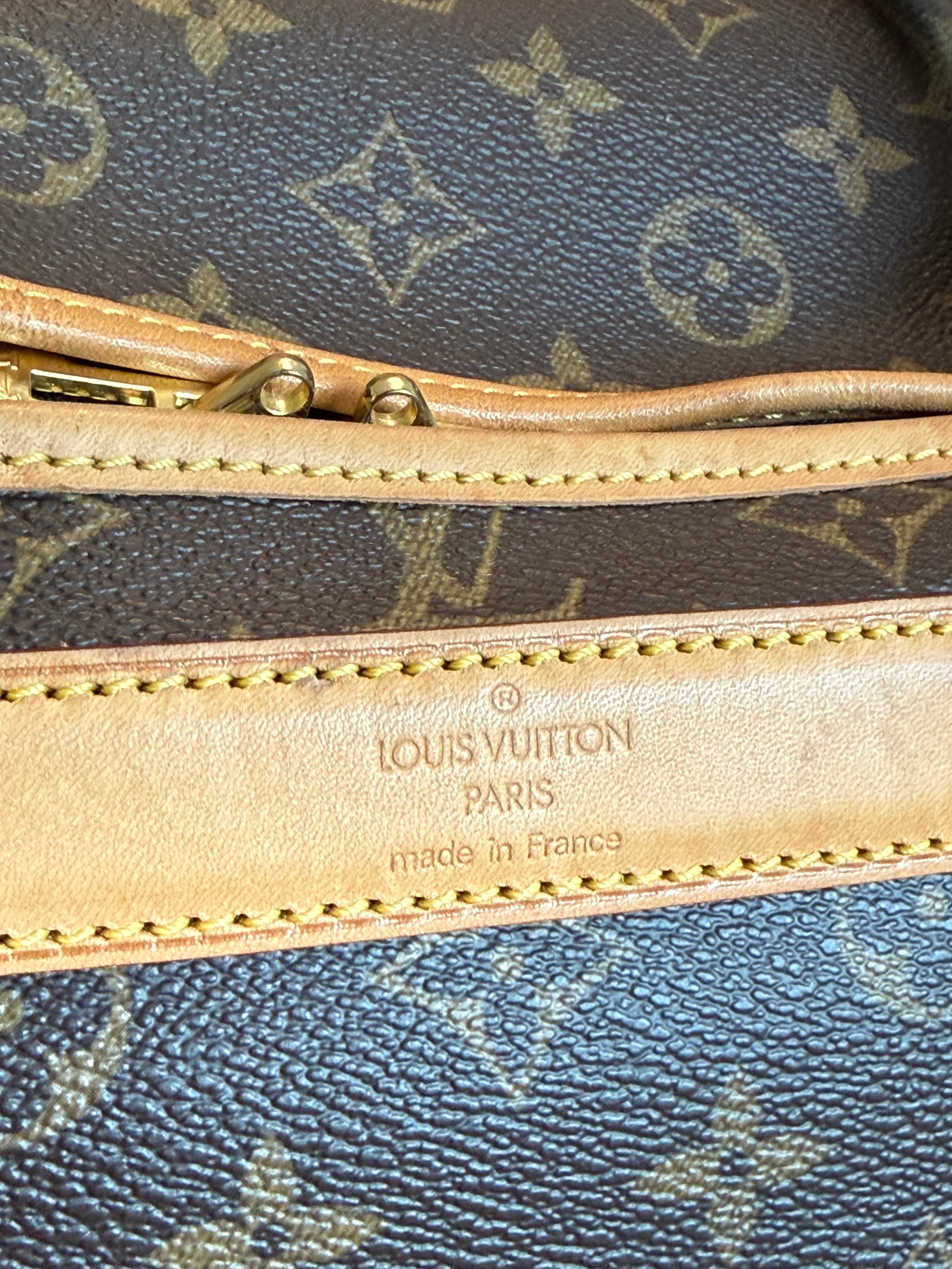 Louis Vuitton Pet Carrier