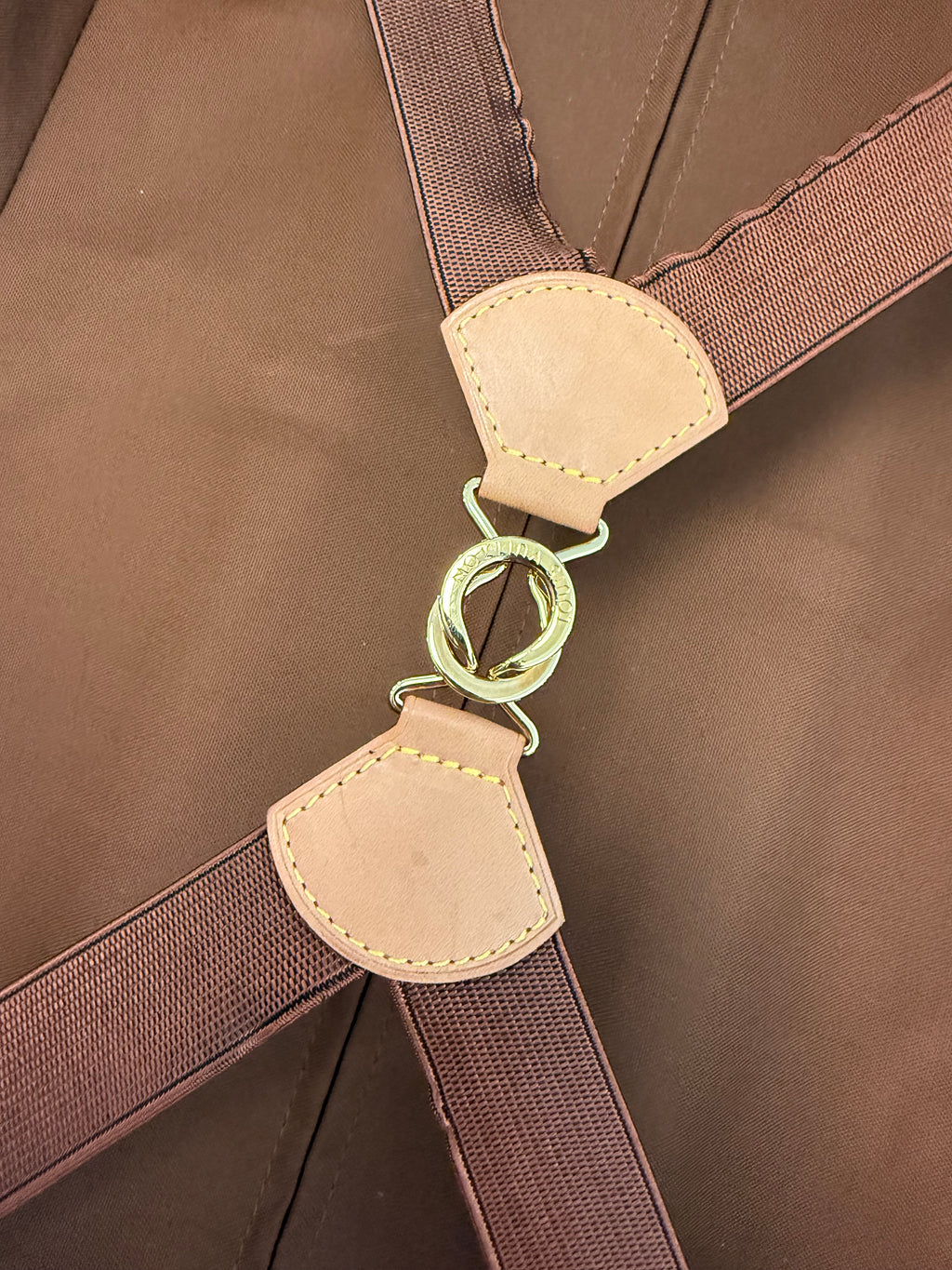Louis Vuitton Pegase 55 Rolling Luggage