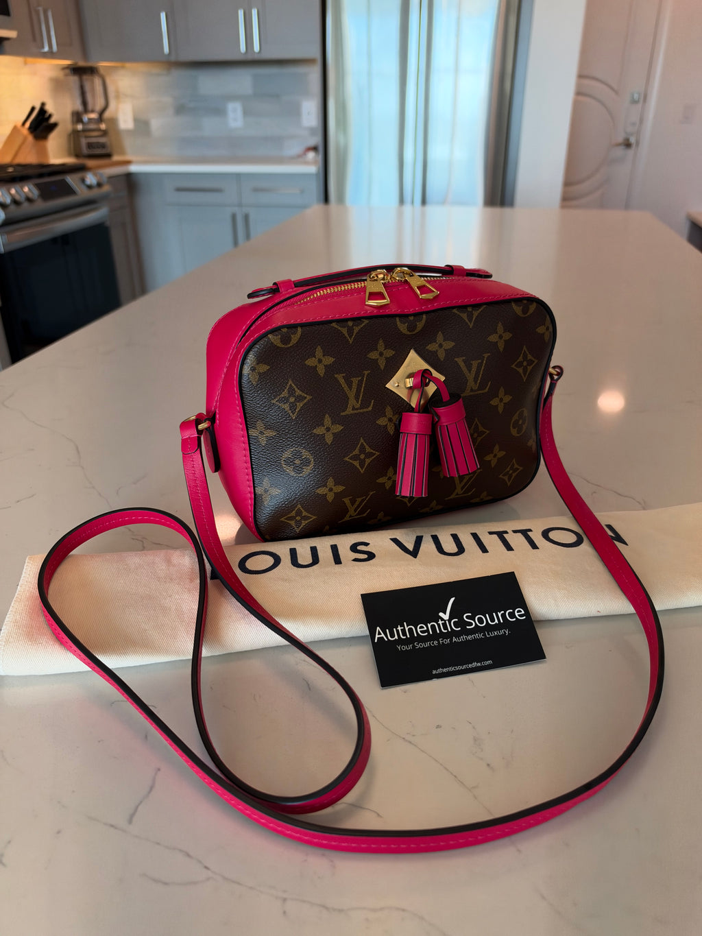 Louis Vuitton Monogram Saintonge - New