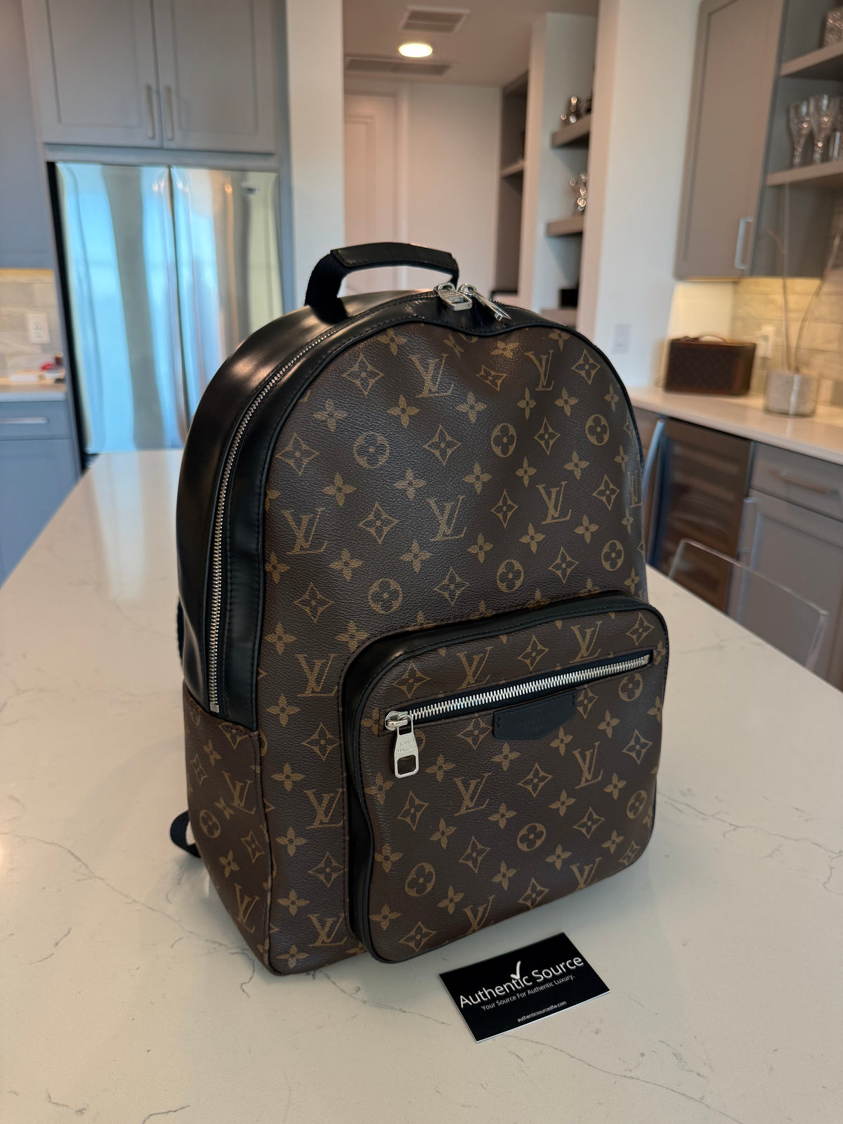 Louis Vuitton Josh Backpack Macassar