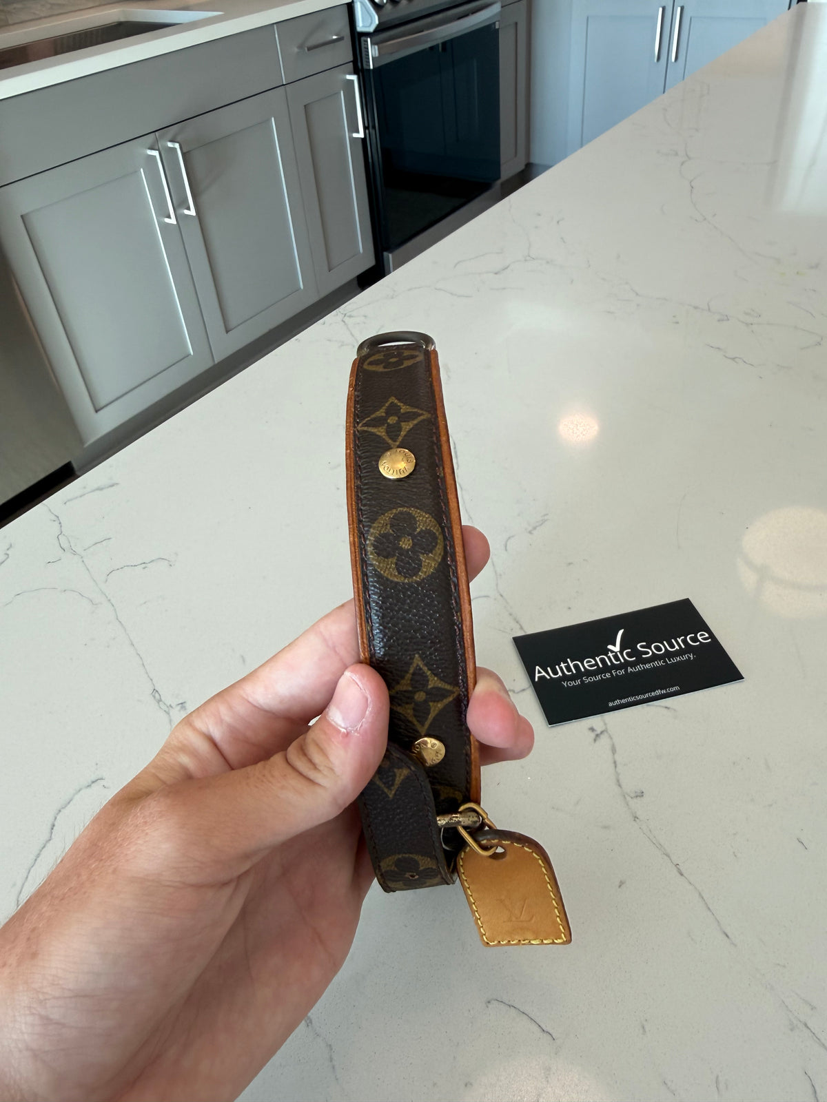 Louis Vuitton Baxter GM Pet Collar